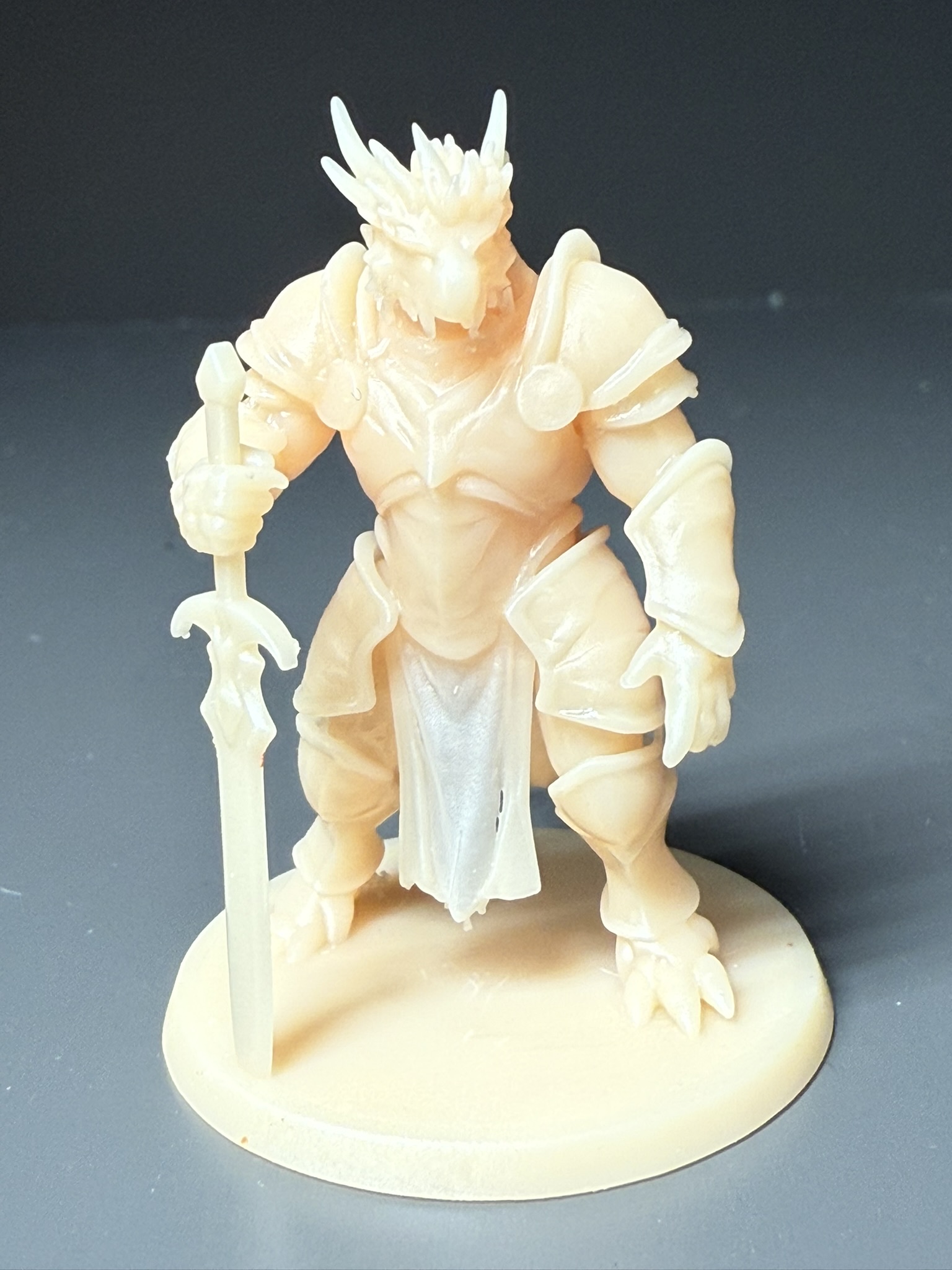 draconian paladin for dungeons and dragons DND