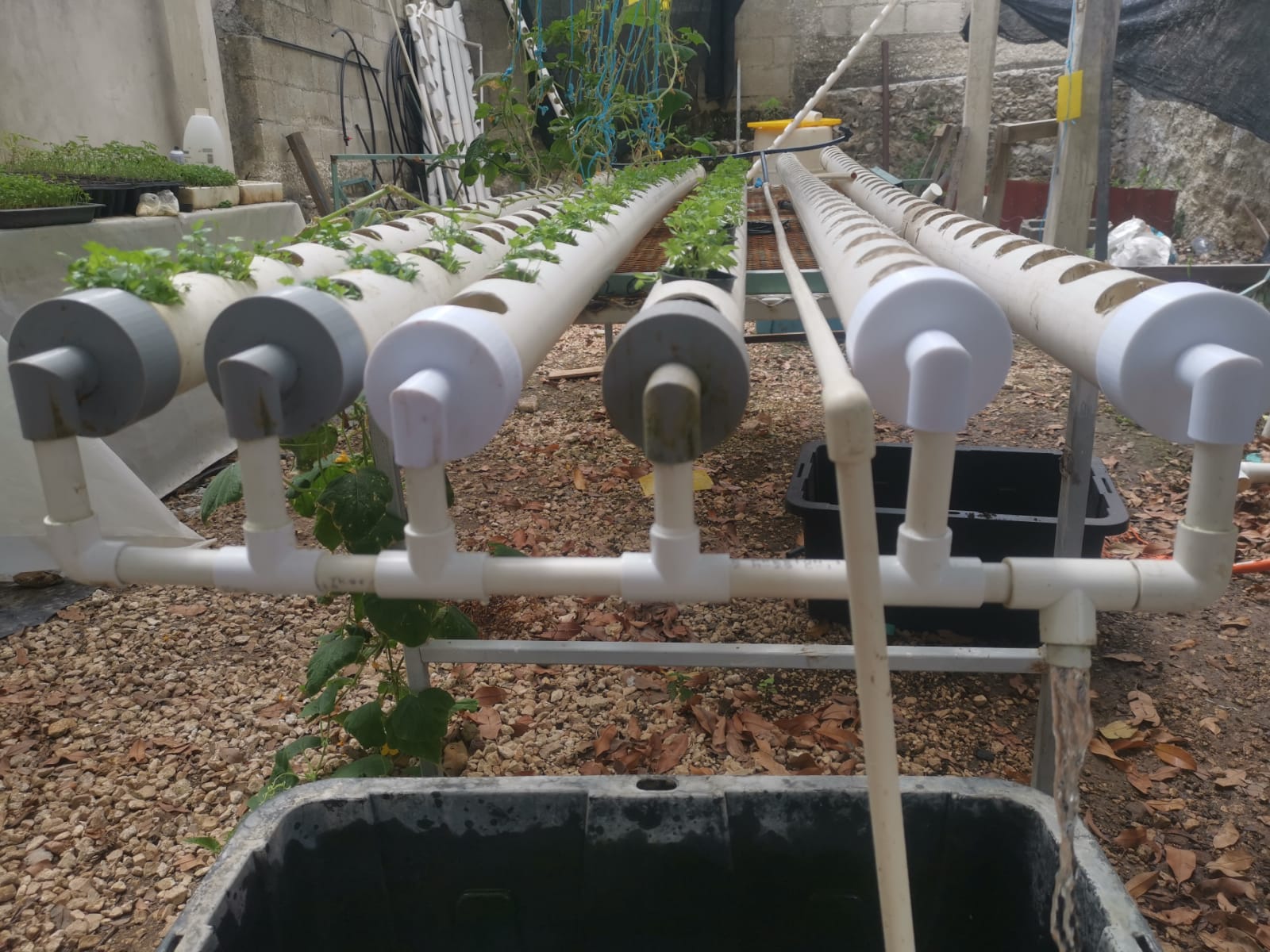Hydroponic End Cap - 3" to 1/2" Reduction (Leak-proof Design). 3D model