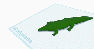crocodile