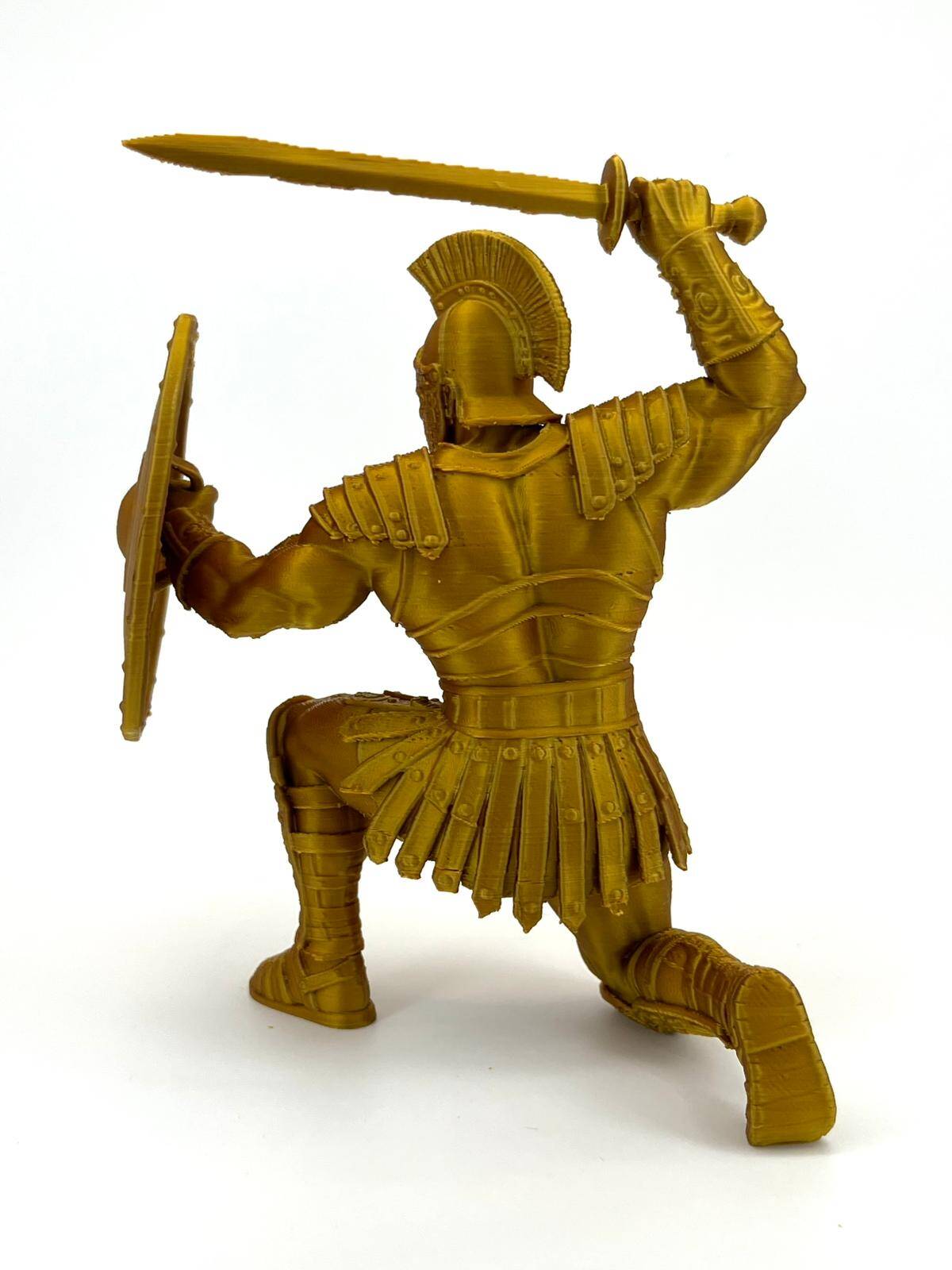 Gladiator & Lion — miniatura 4