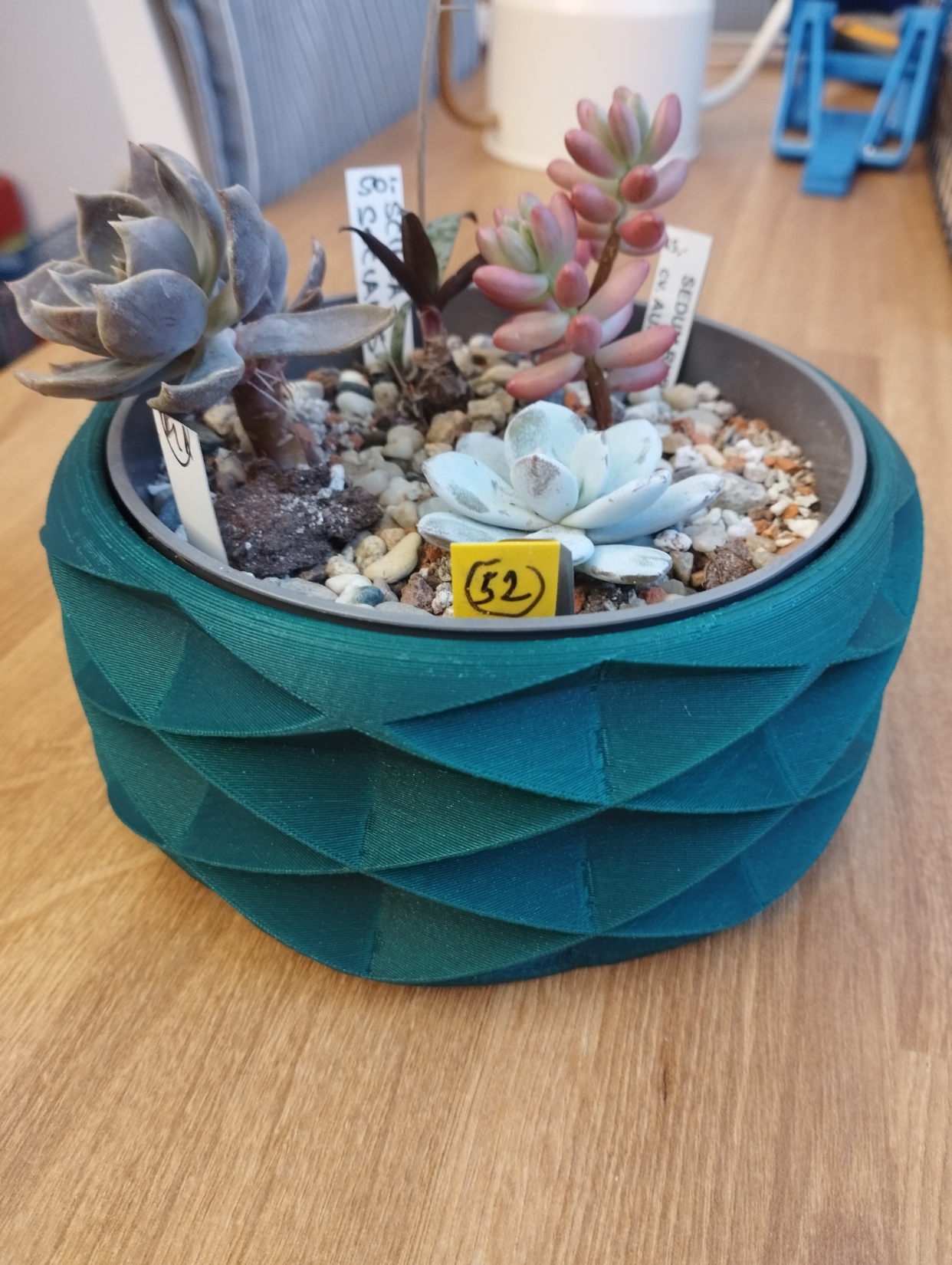 Succulent planter