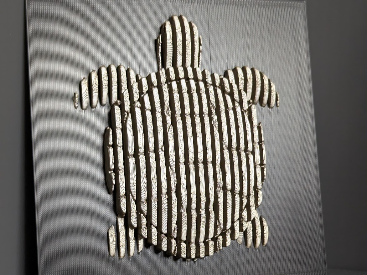 Turtle Layered Sculpture | Wall Art