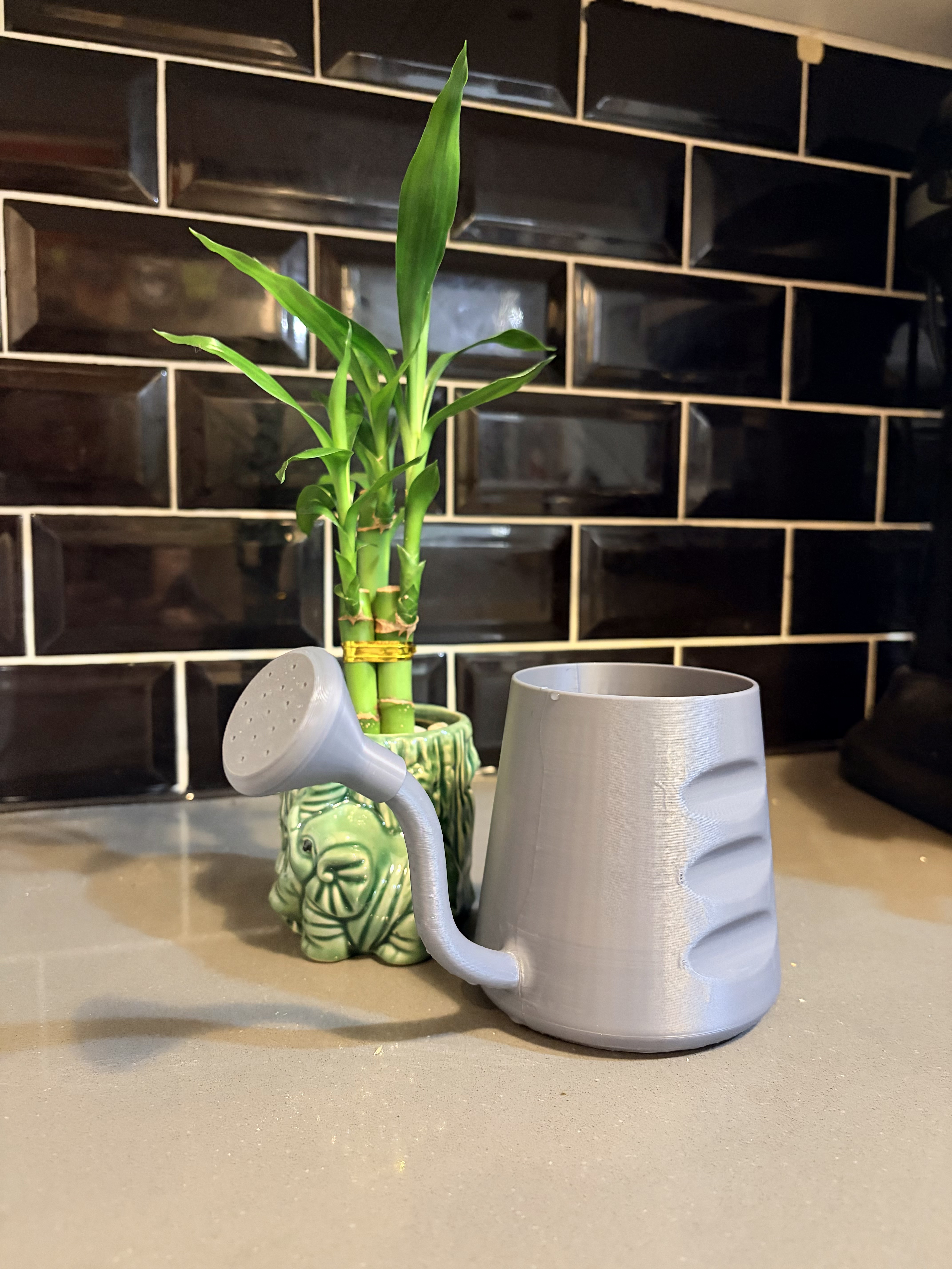 Light-duty watering can and rose