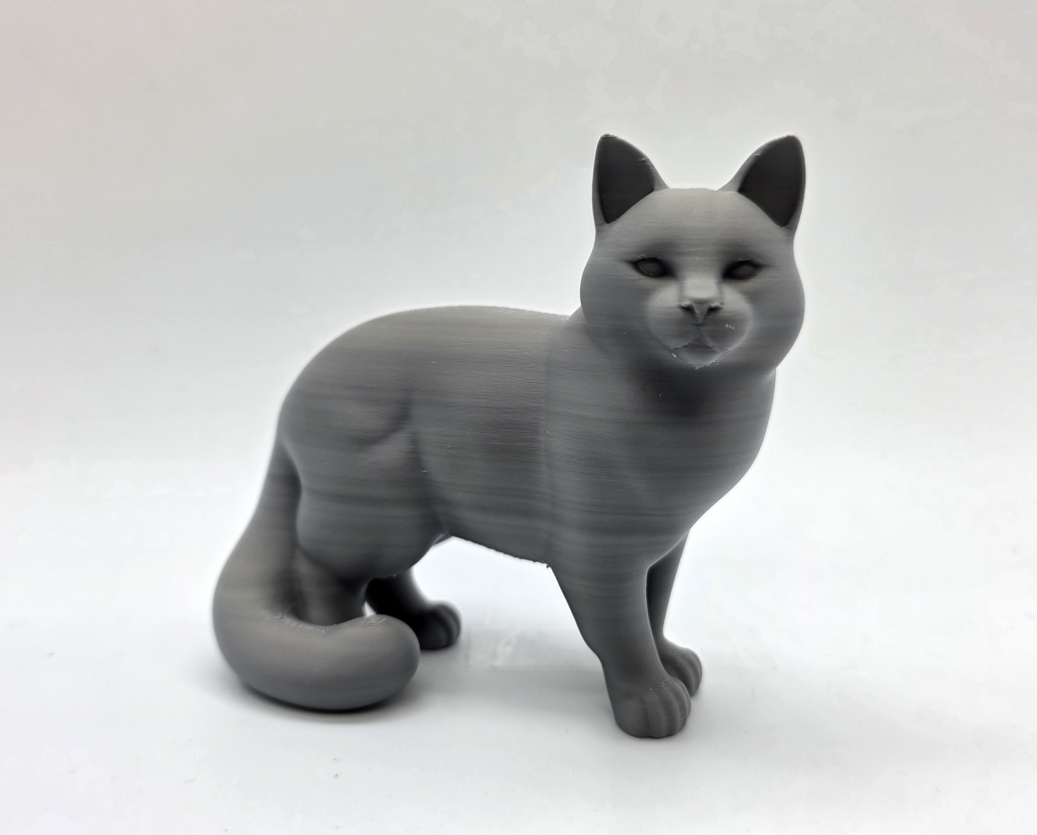 Standing Cat - Fluffy Tail — thumbnail 2