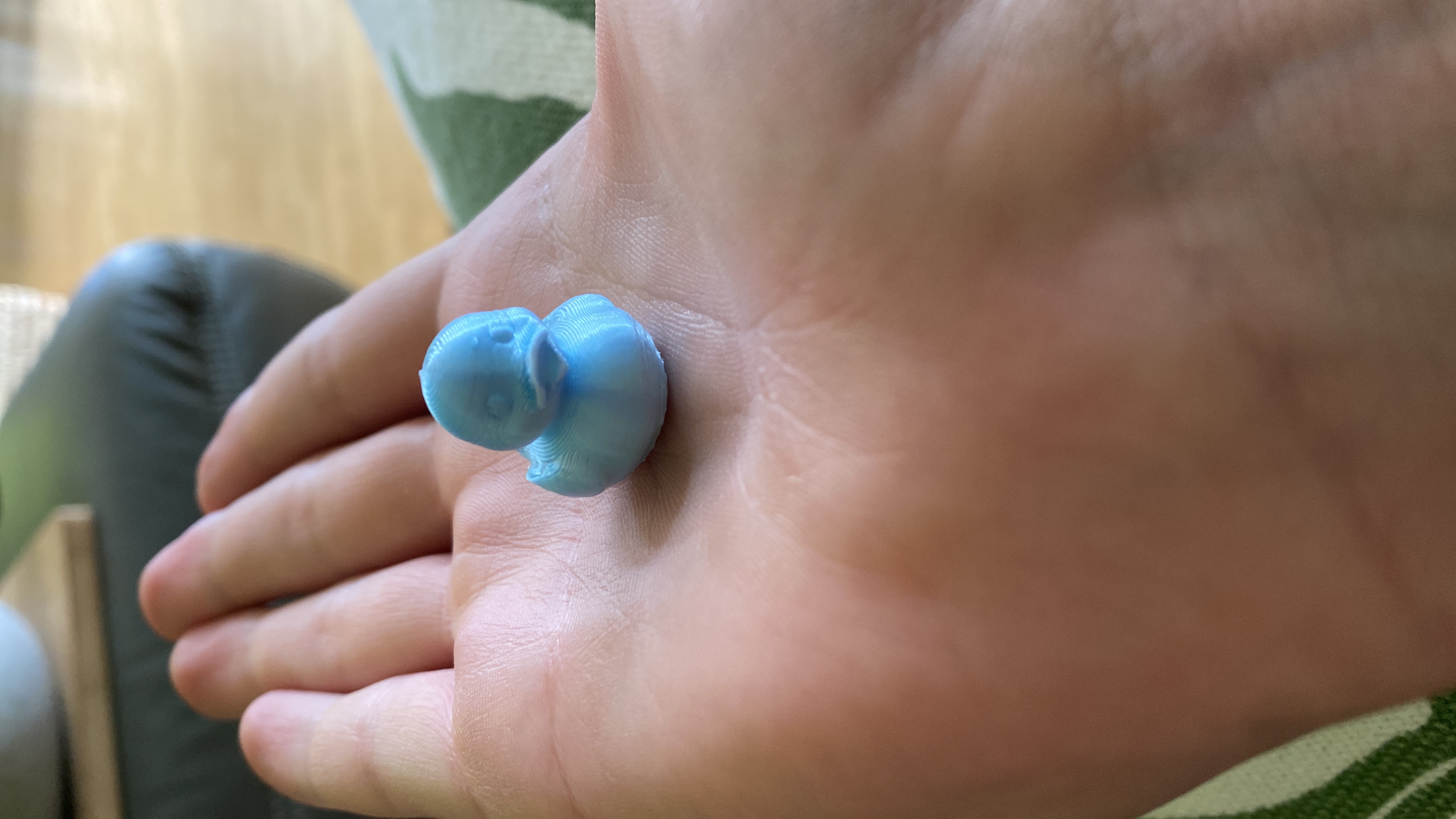 mini Duck