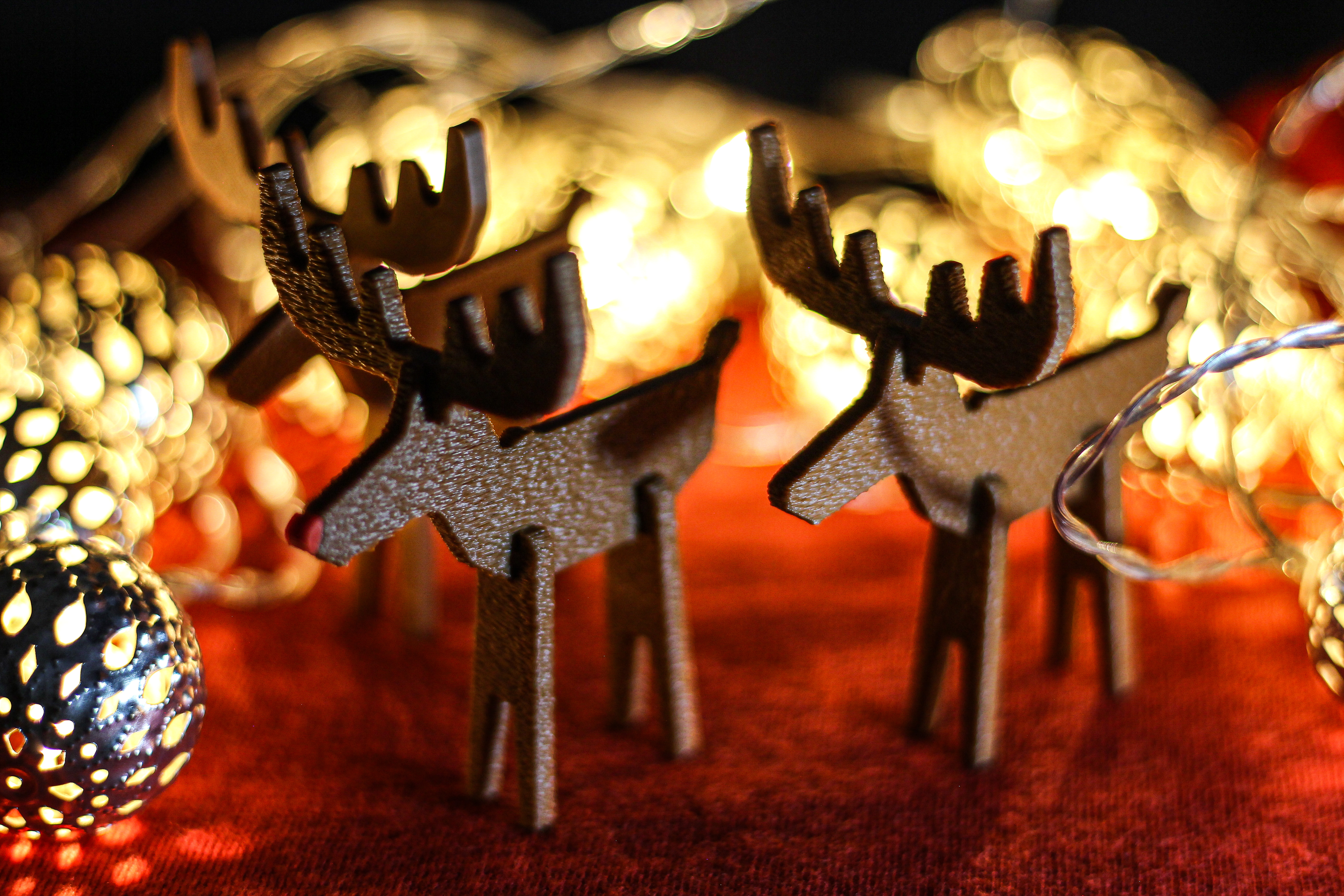 Reindeer & Rudolph — thumbnail 7