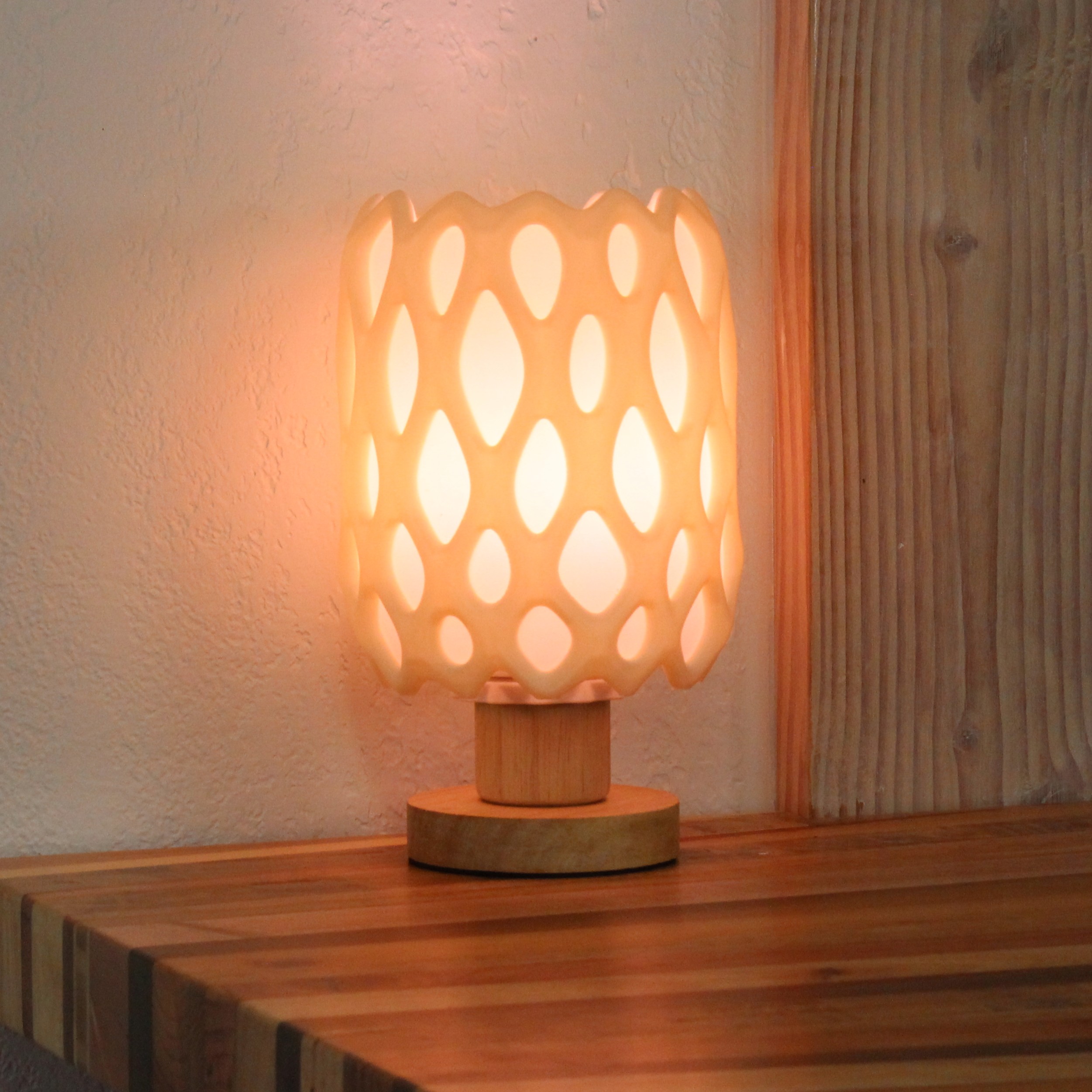 Cholla Cactus Lamp — miniatura 3