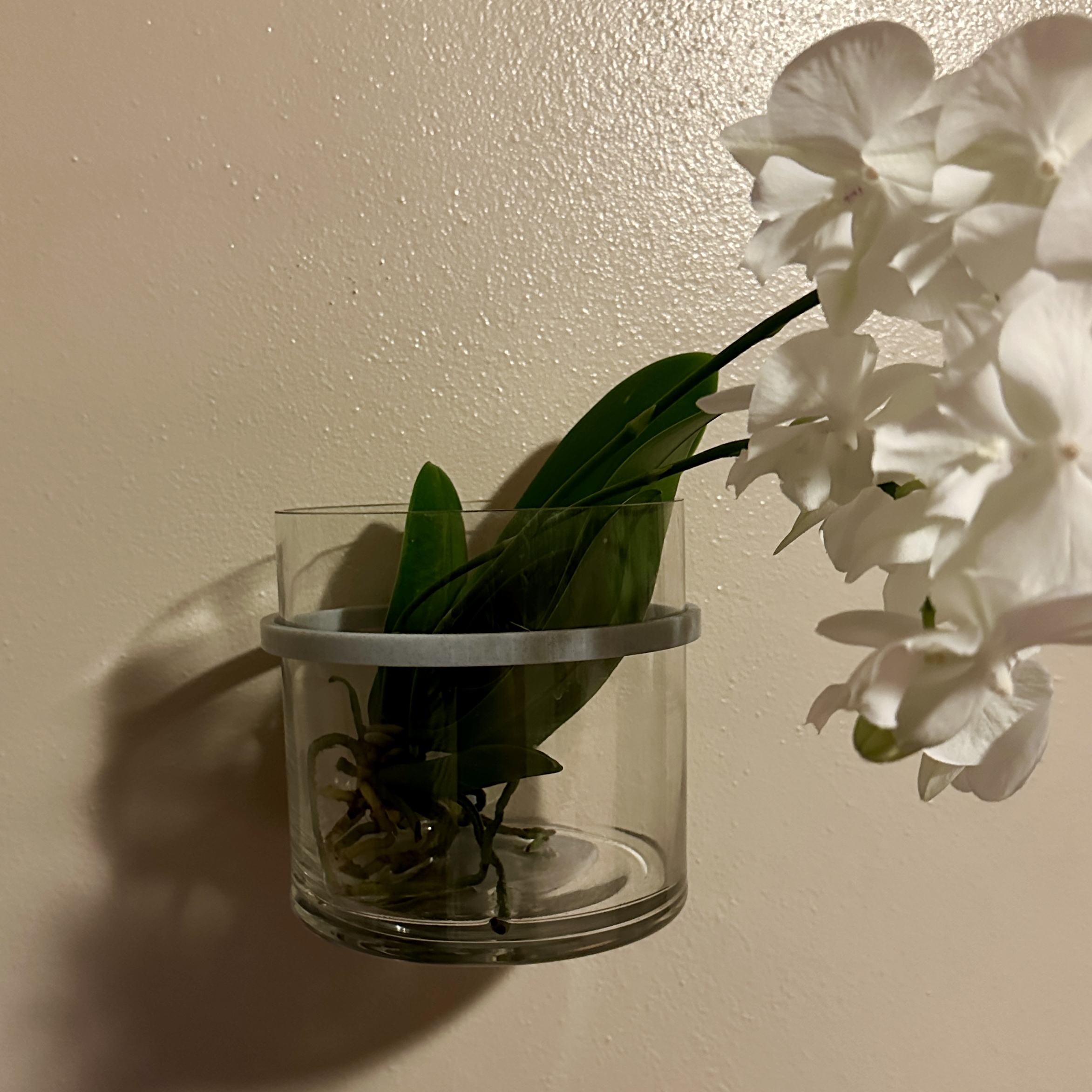 Wall Planter Holder for 150mm Planter