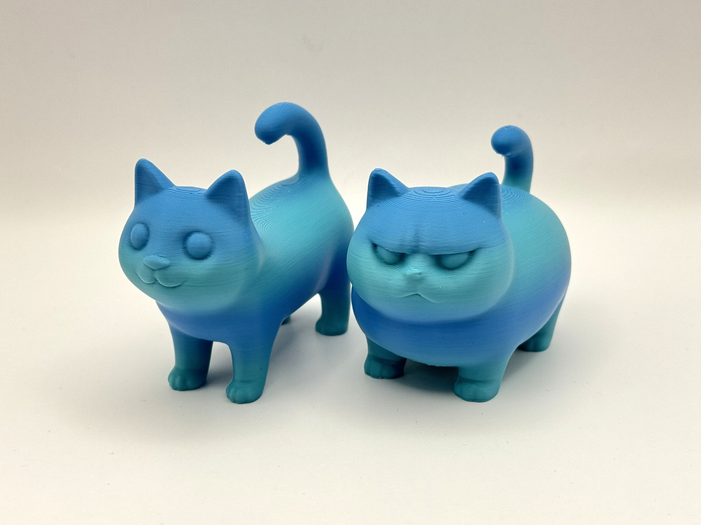 Cat Duo – Happy & Grumpy