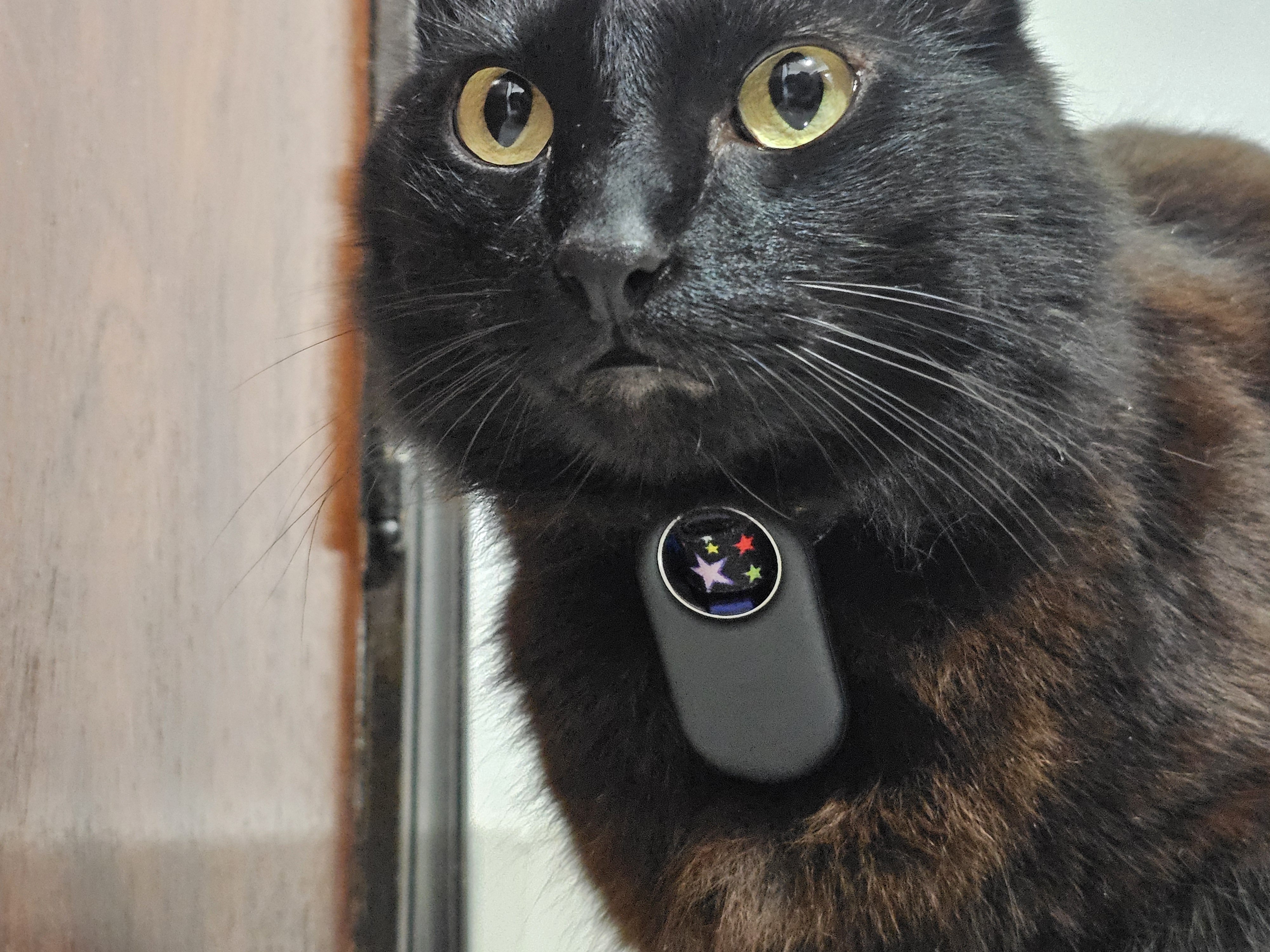 Samsung SmartTag2 collar clip