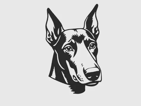 wall rt doberman