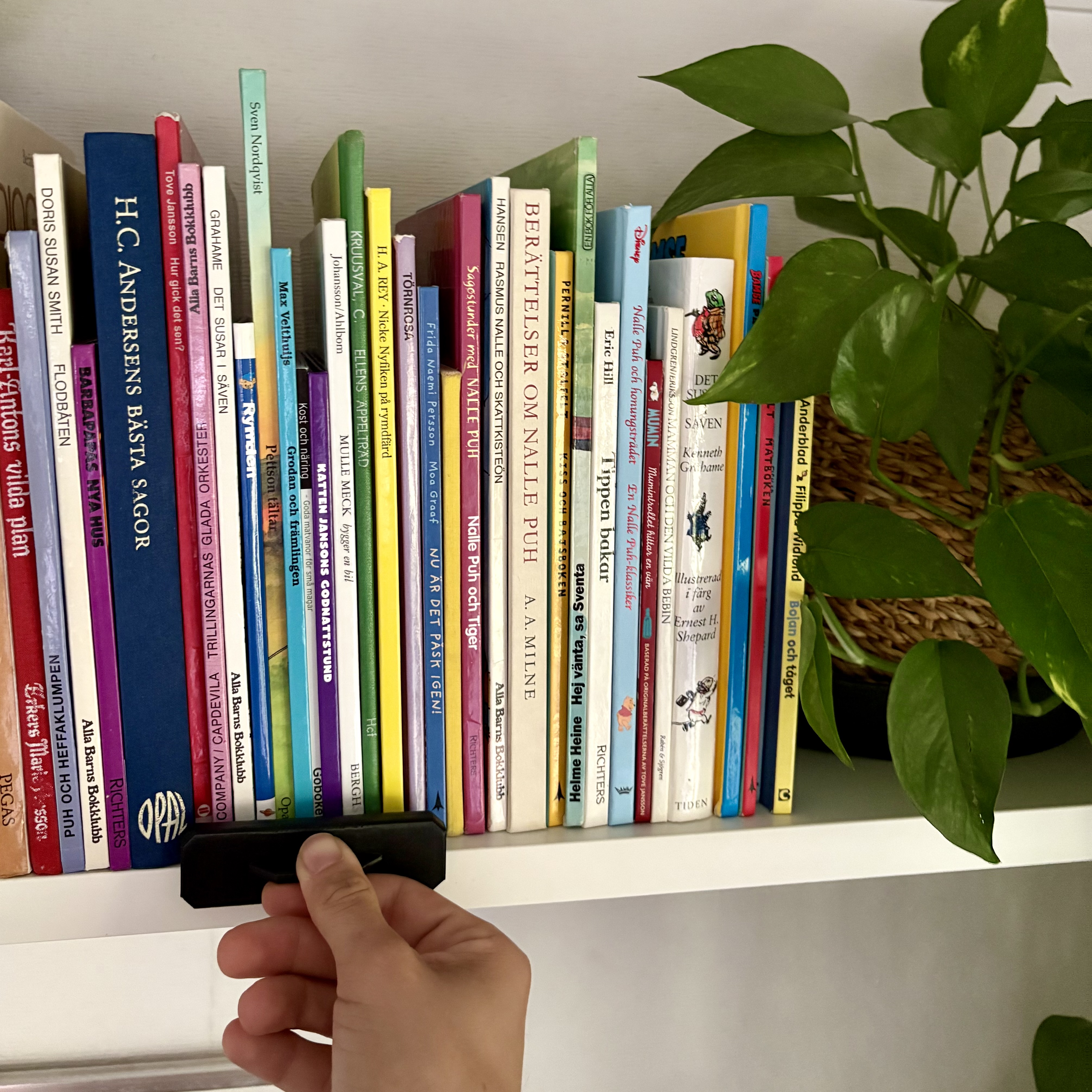 Bookshelf Aligner / Organizer / Pusher from TikTok