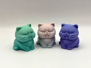 Chonky Fed Kitten