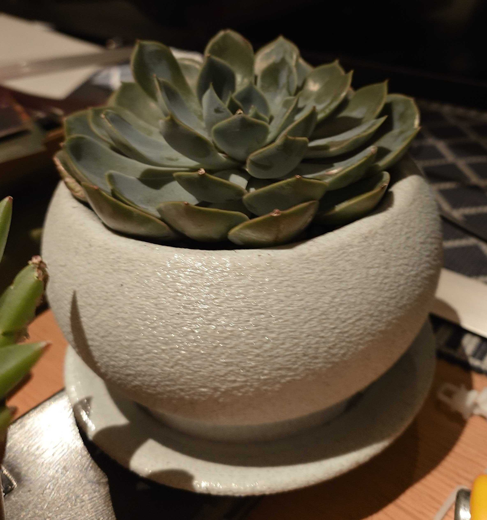 Planter — thumbnail 2