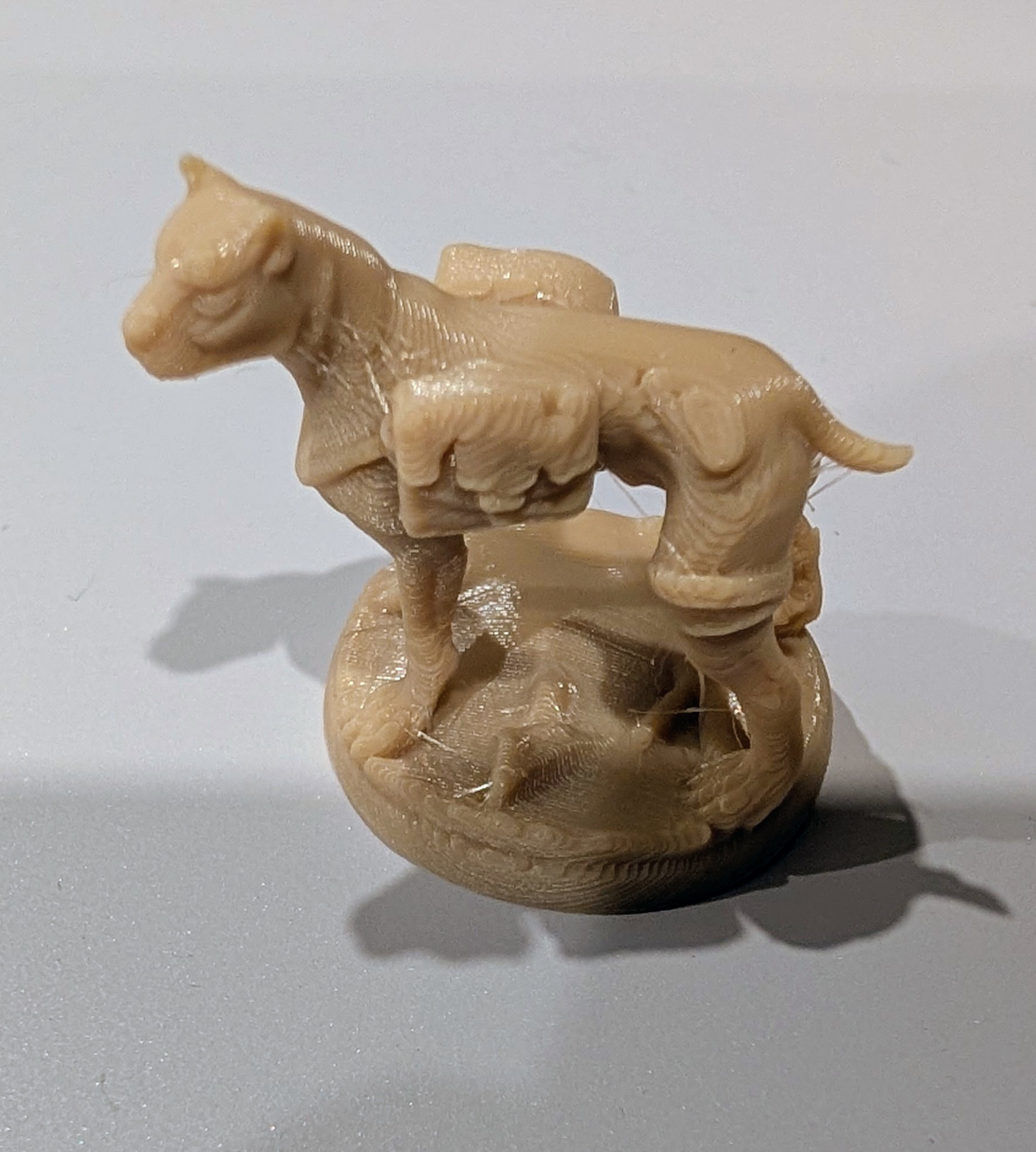 Dog miniature - Robinson Crusoe BG