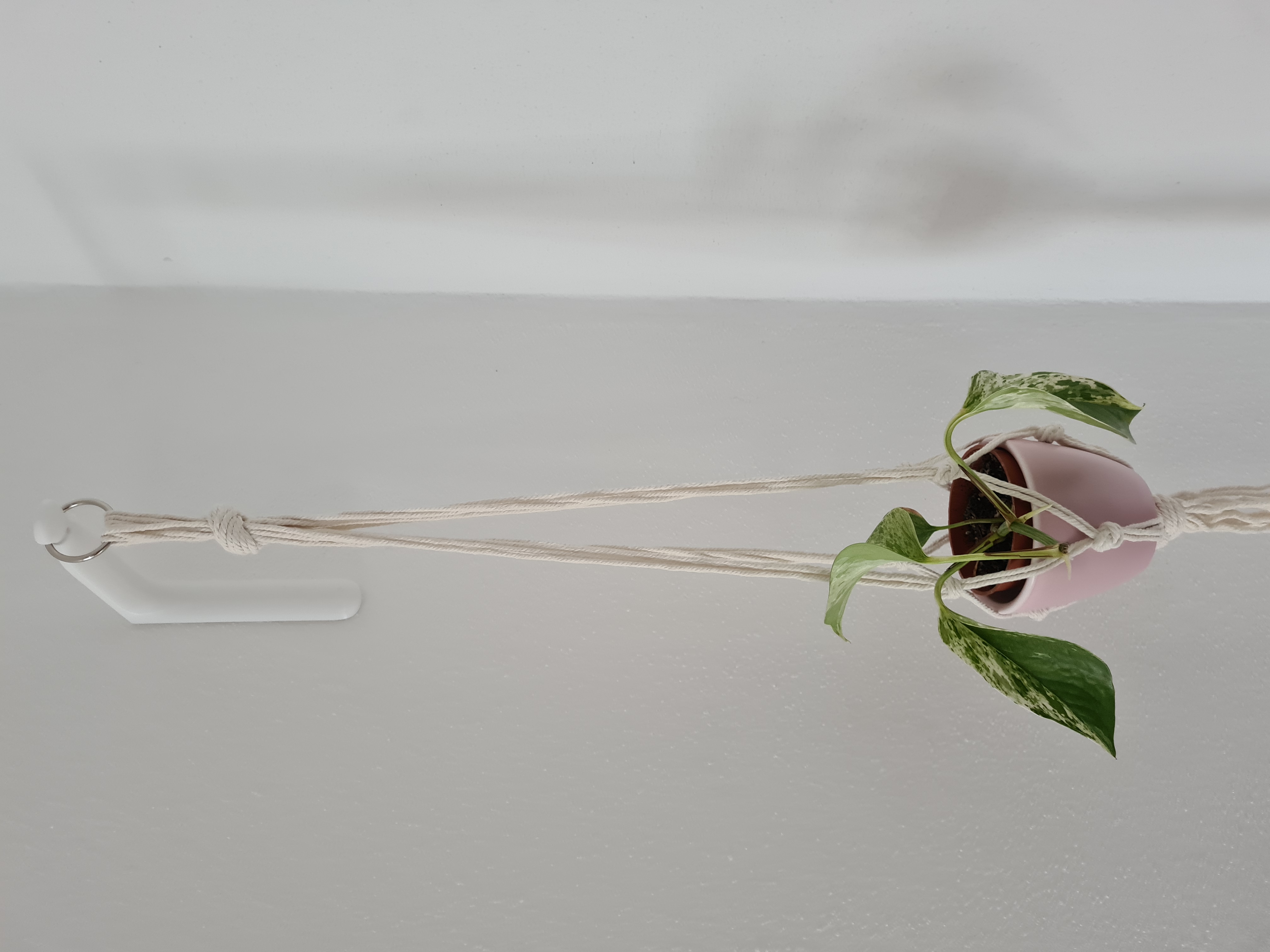 Macramé / plant wall holder / hanging basket