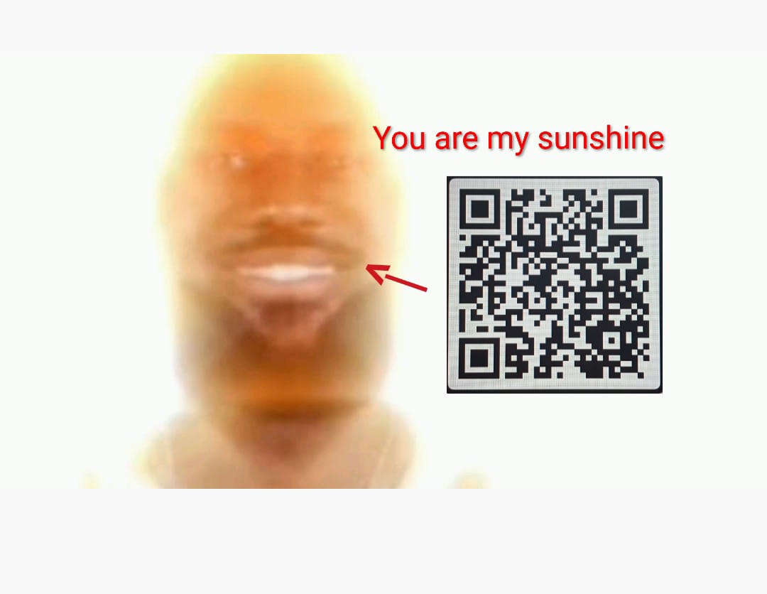 lebron james you are my sunshine qr code