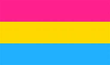 Pansexual Flag