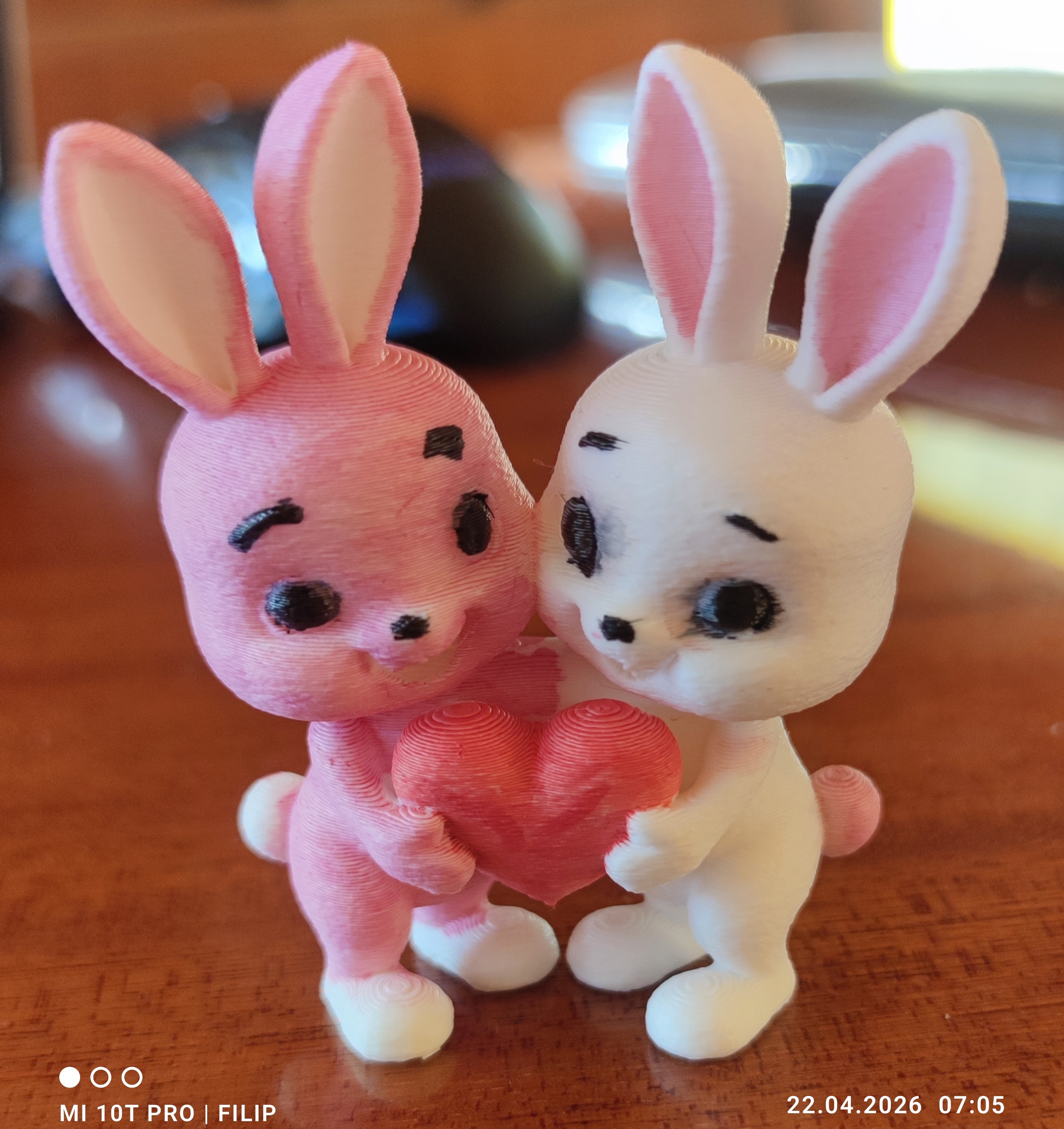 Bunnies with a heart