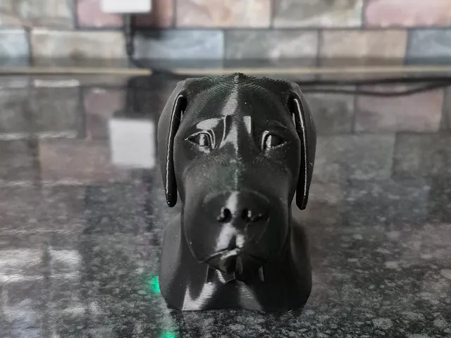 lab head