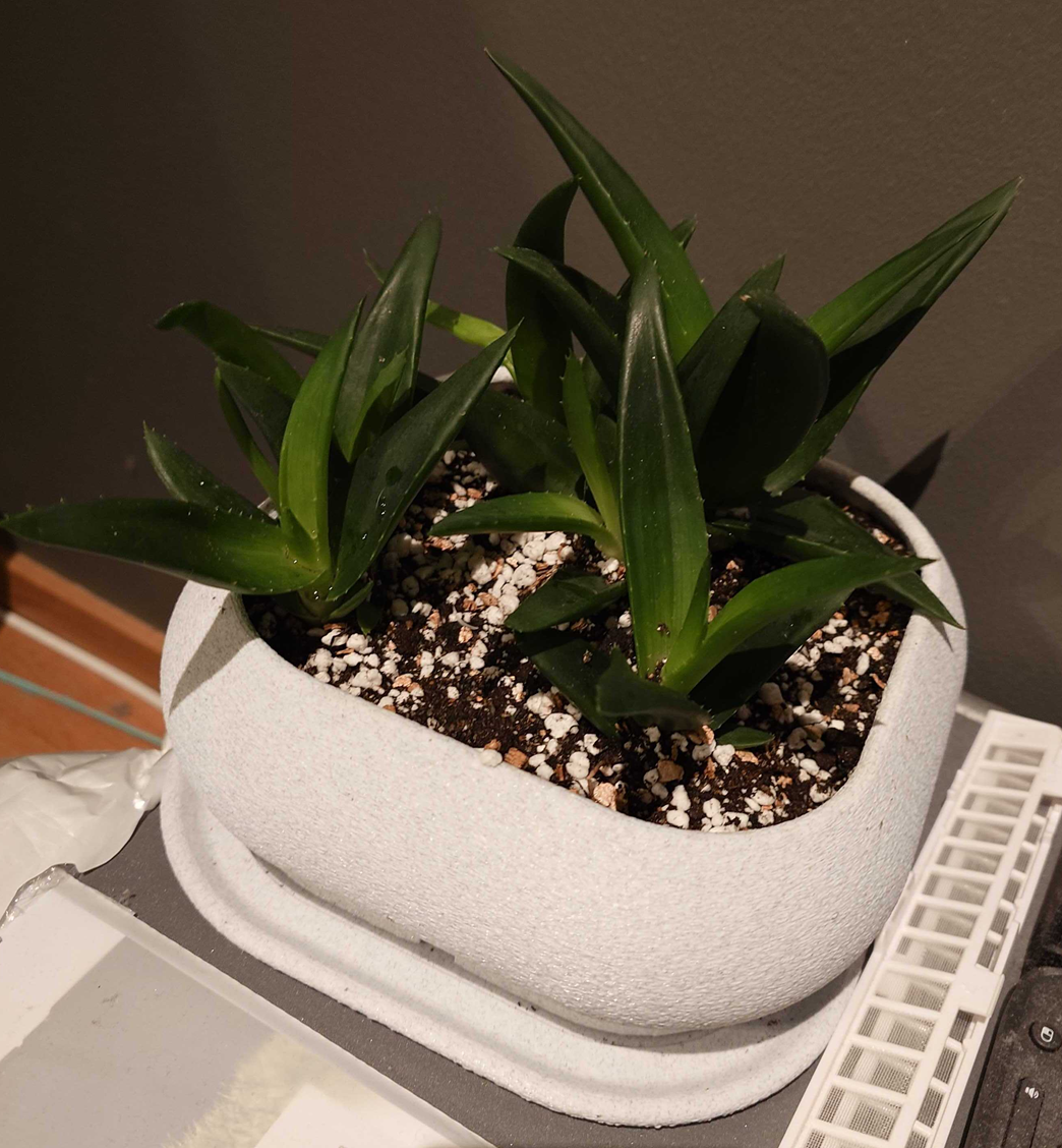 Planter