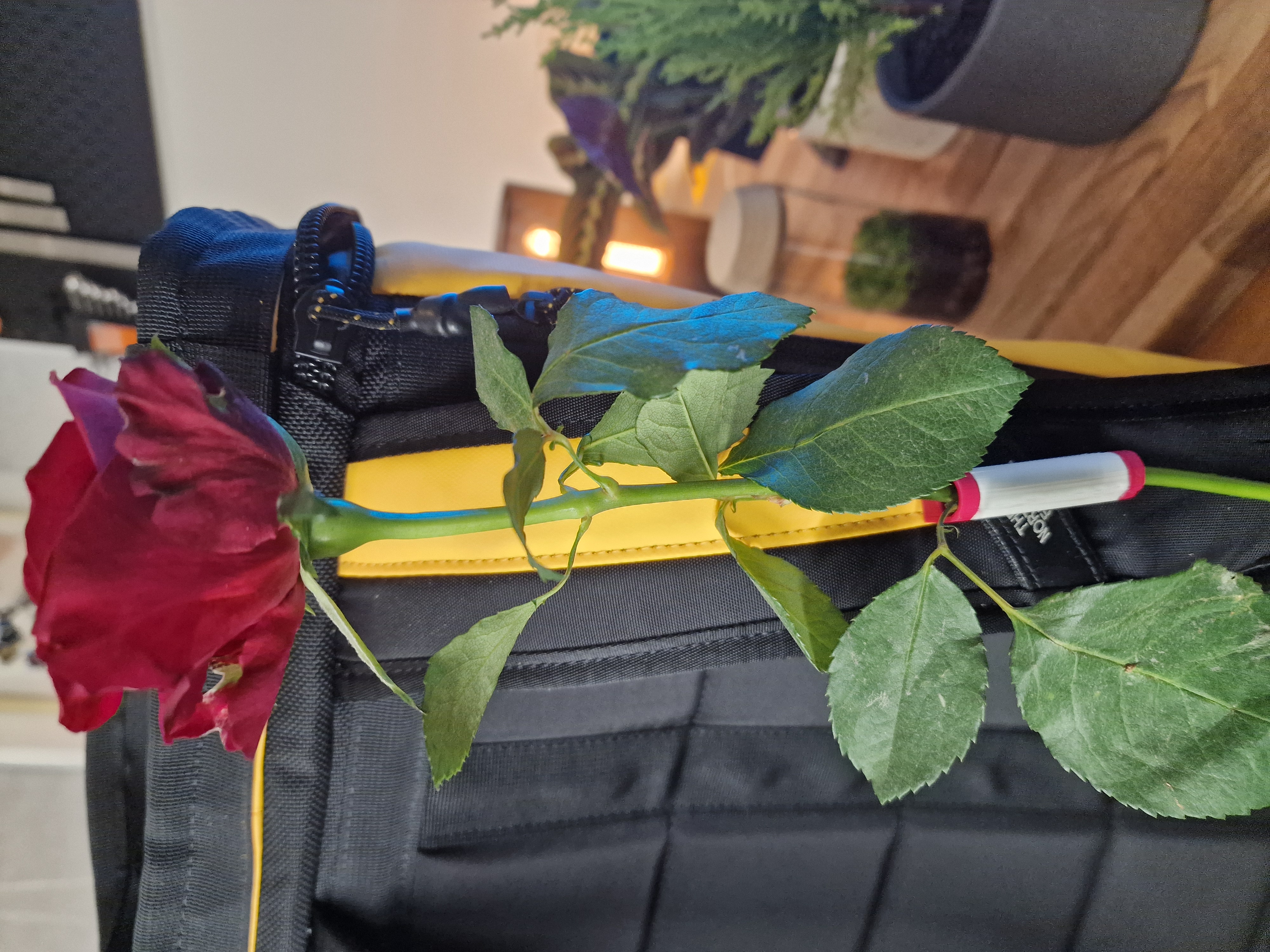 Valentines Rose Backpack Clip — miniatura 3