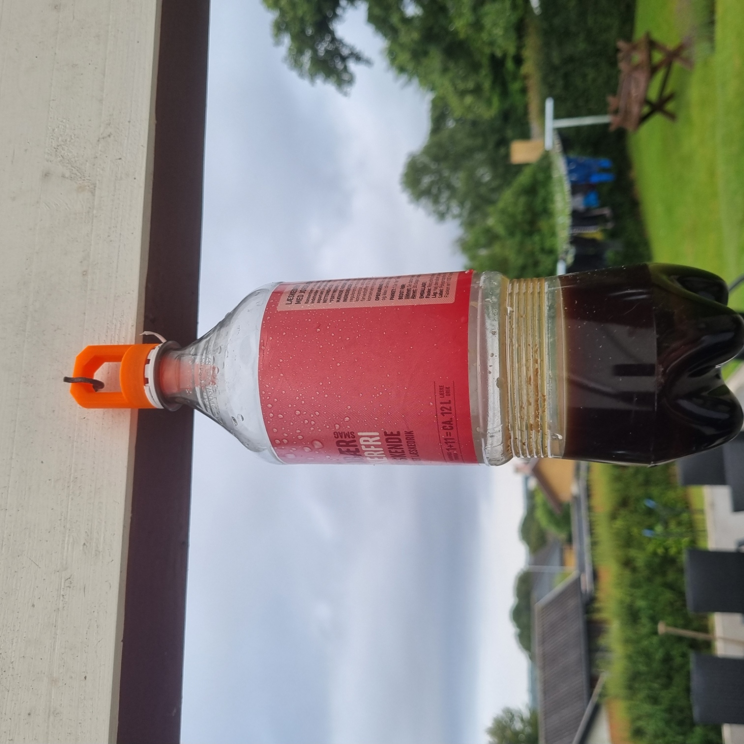 Wasp Trap For Bottles