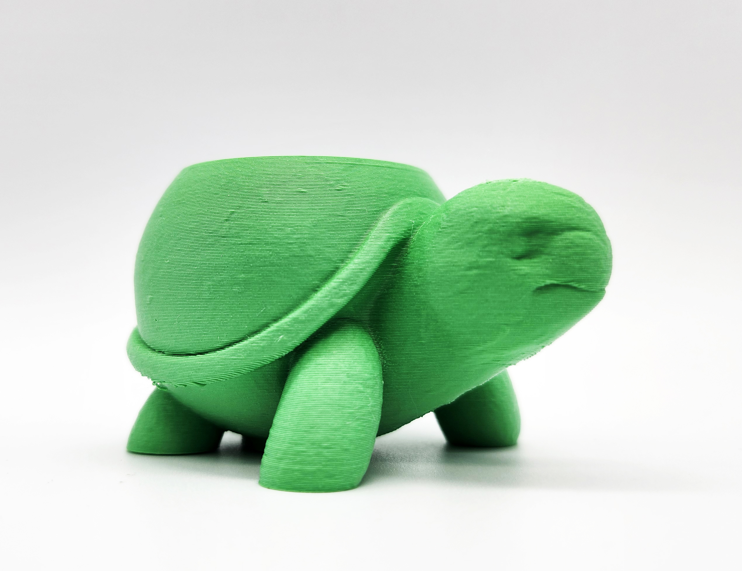 Miniatura 3 do modelo 3D Rounded Turtle Succulent Planter