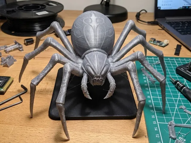 spider