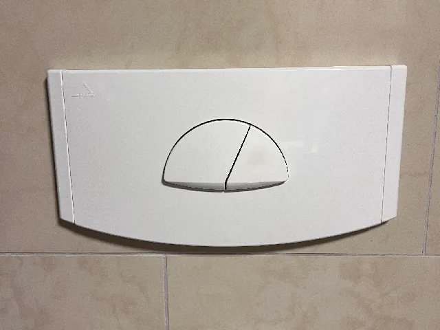 Friatec Wall Toilet Flush Button Repair