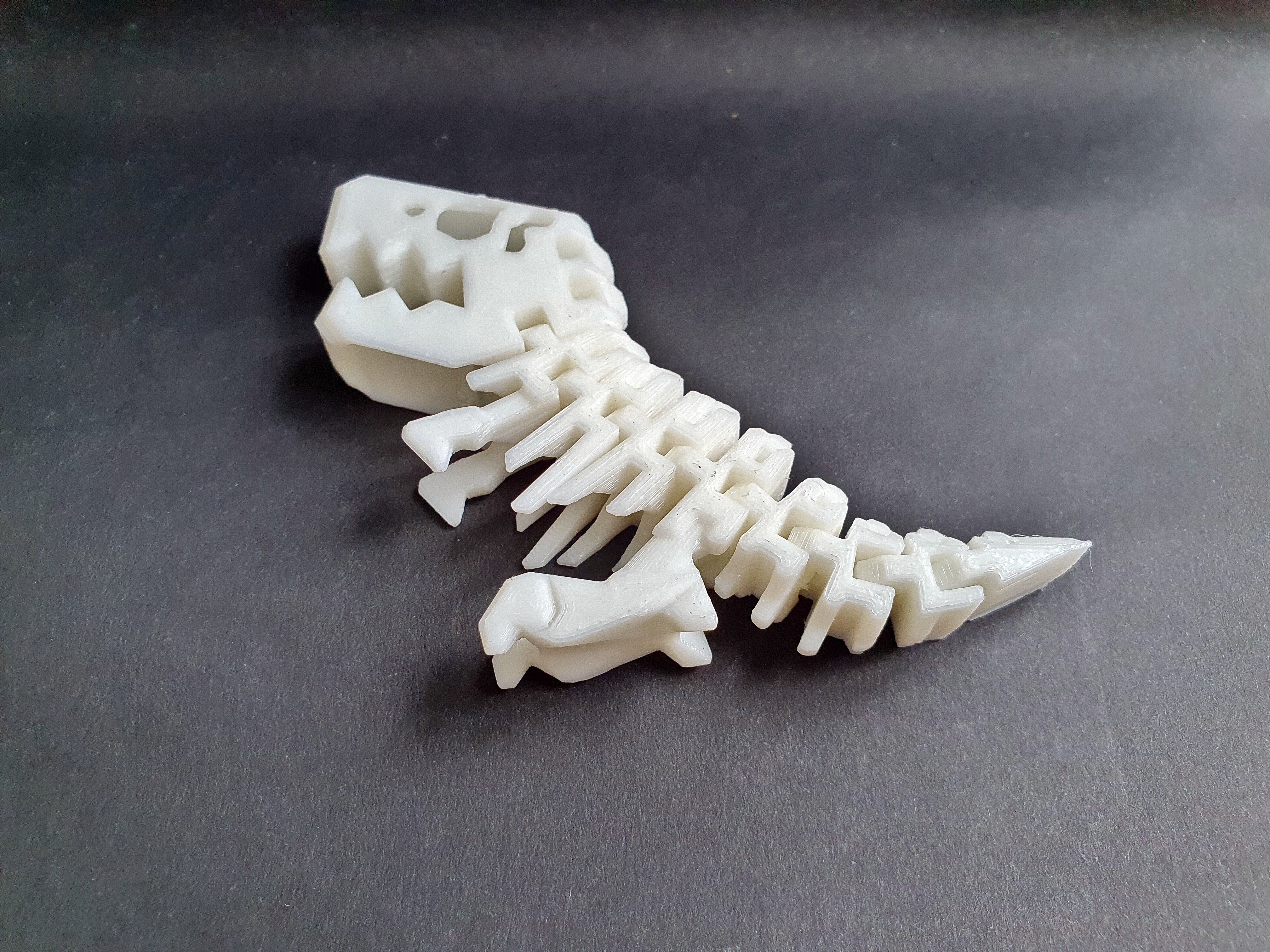 Miniatura 5 do modelo 3D Flexi Rex Skeleton