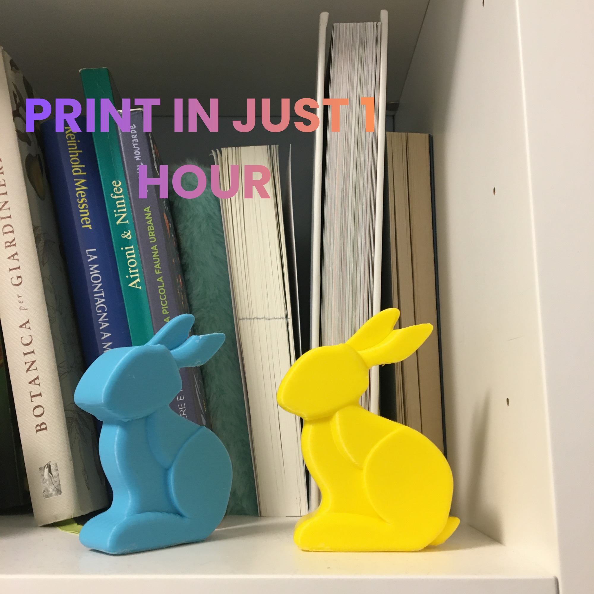 MINIMAL BUNNY/RABBIT FAST PRINT EASTER 2026