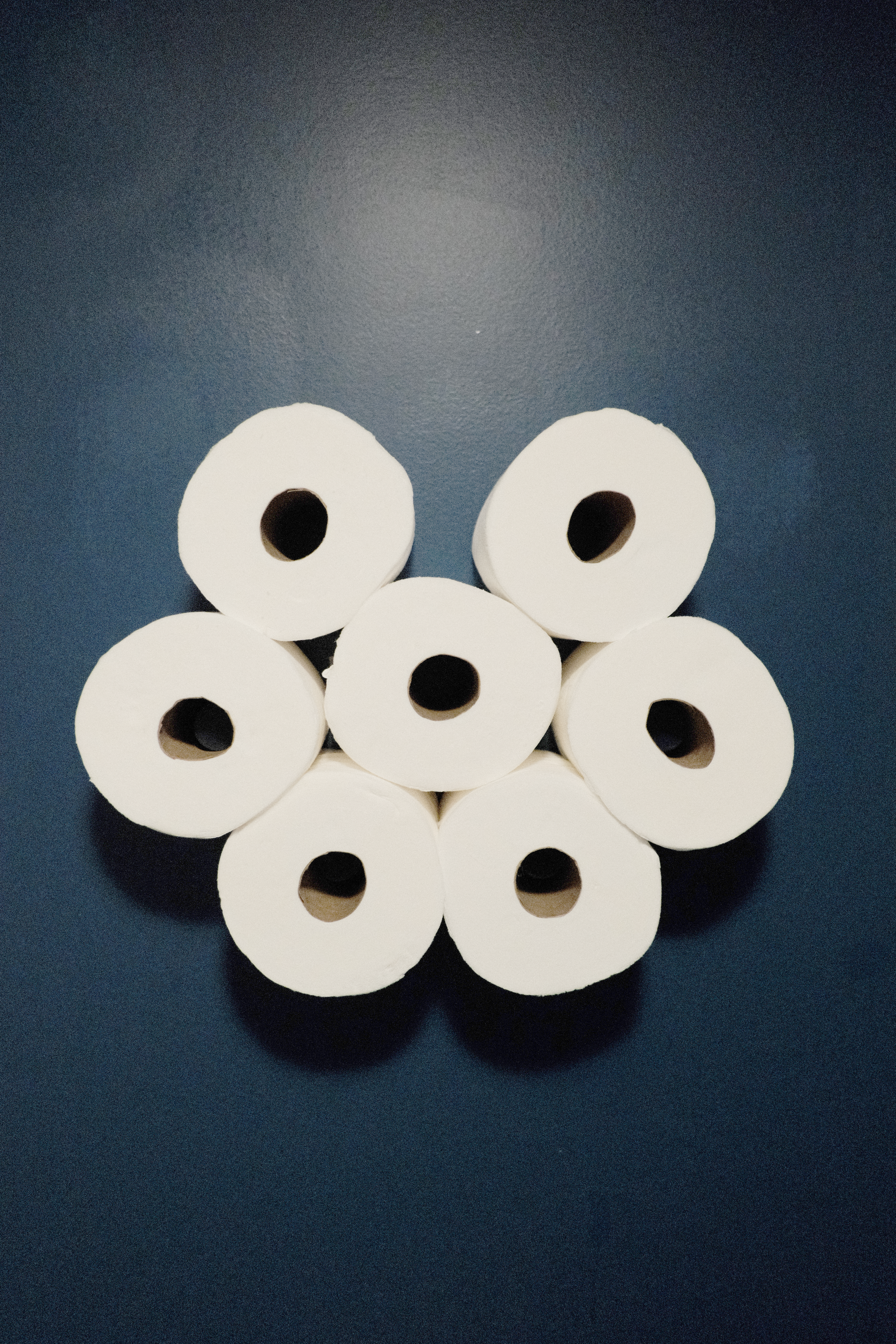 Toilet Paper Cloud - Compatible with Drywall Nubs