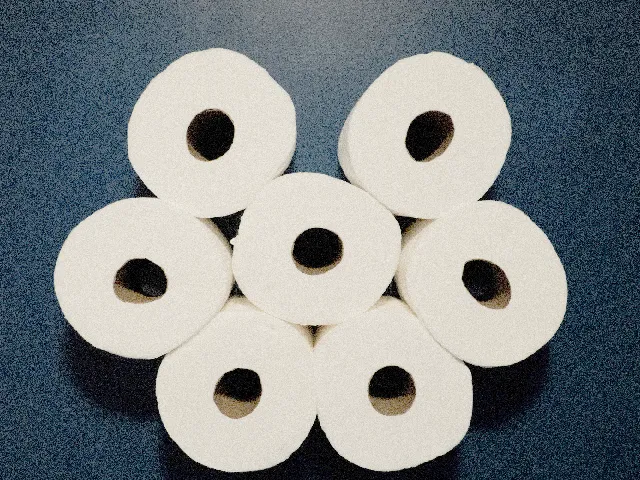 Toilet Paper Cloud - Compatible with Drywall Nubs