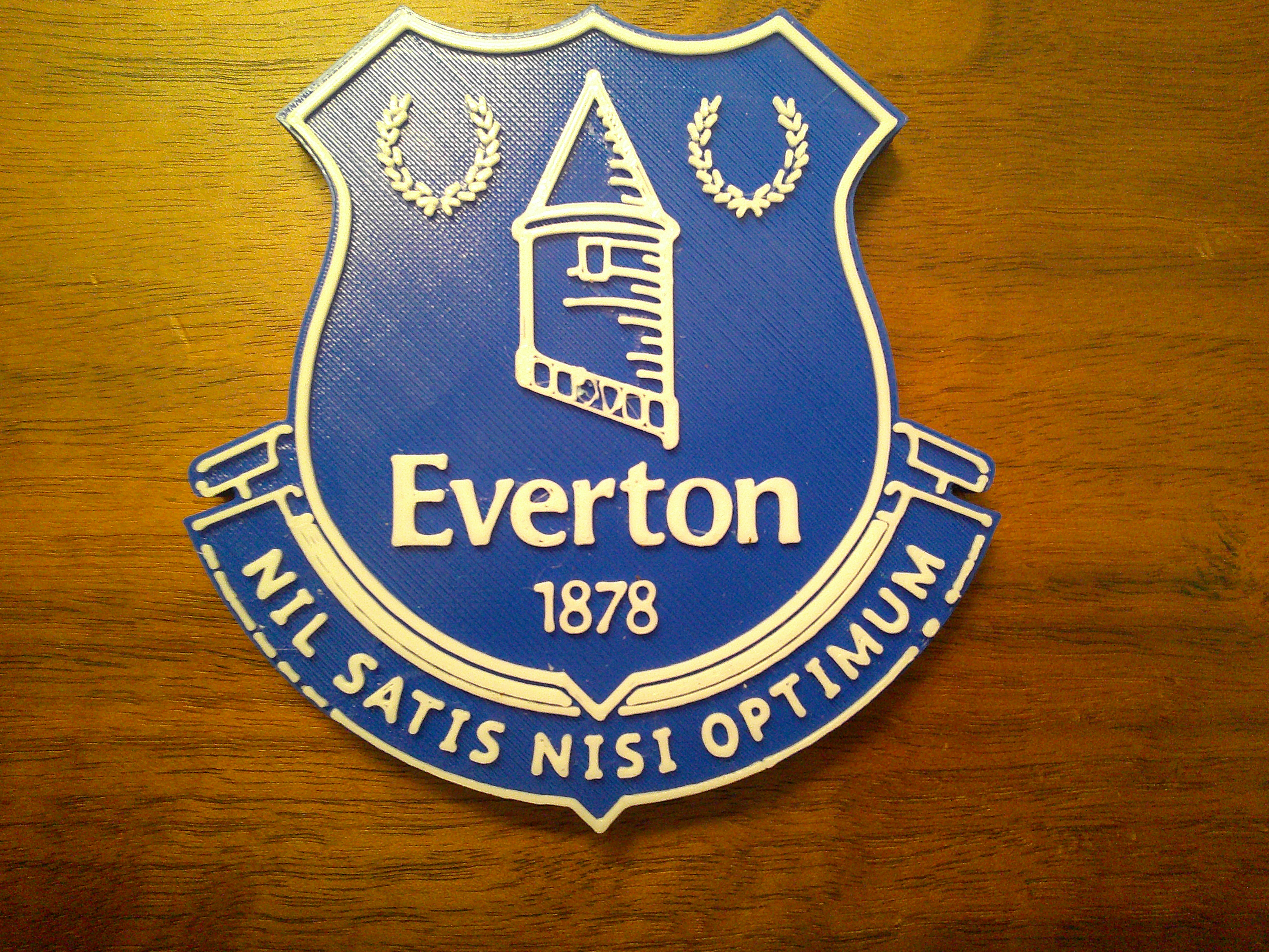 Everton Logo Coaster or Plaque
