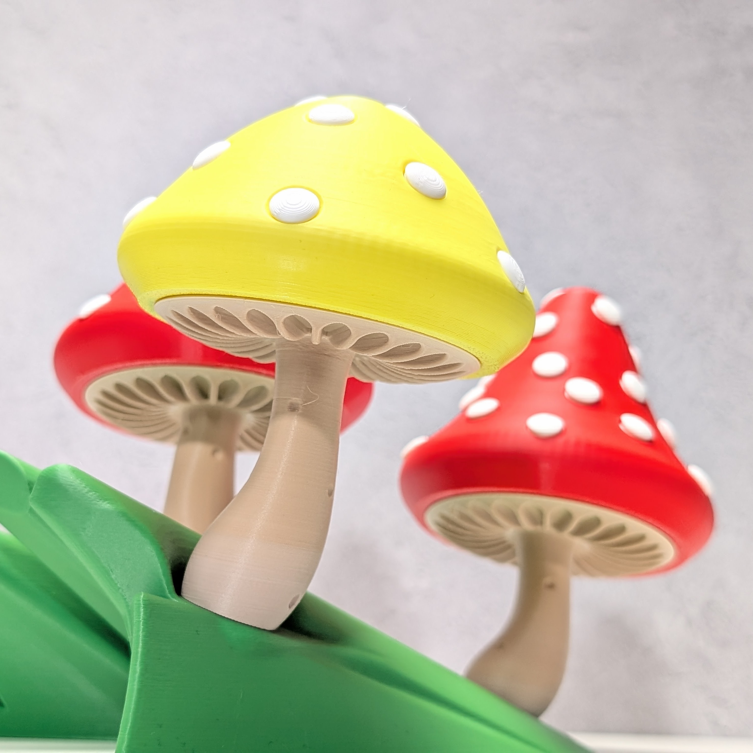 Spotty Toadstools