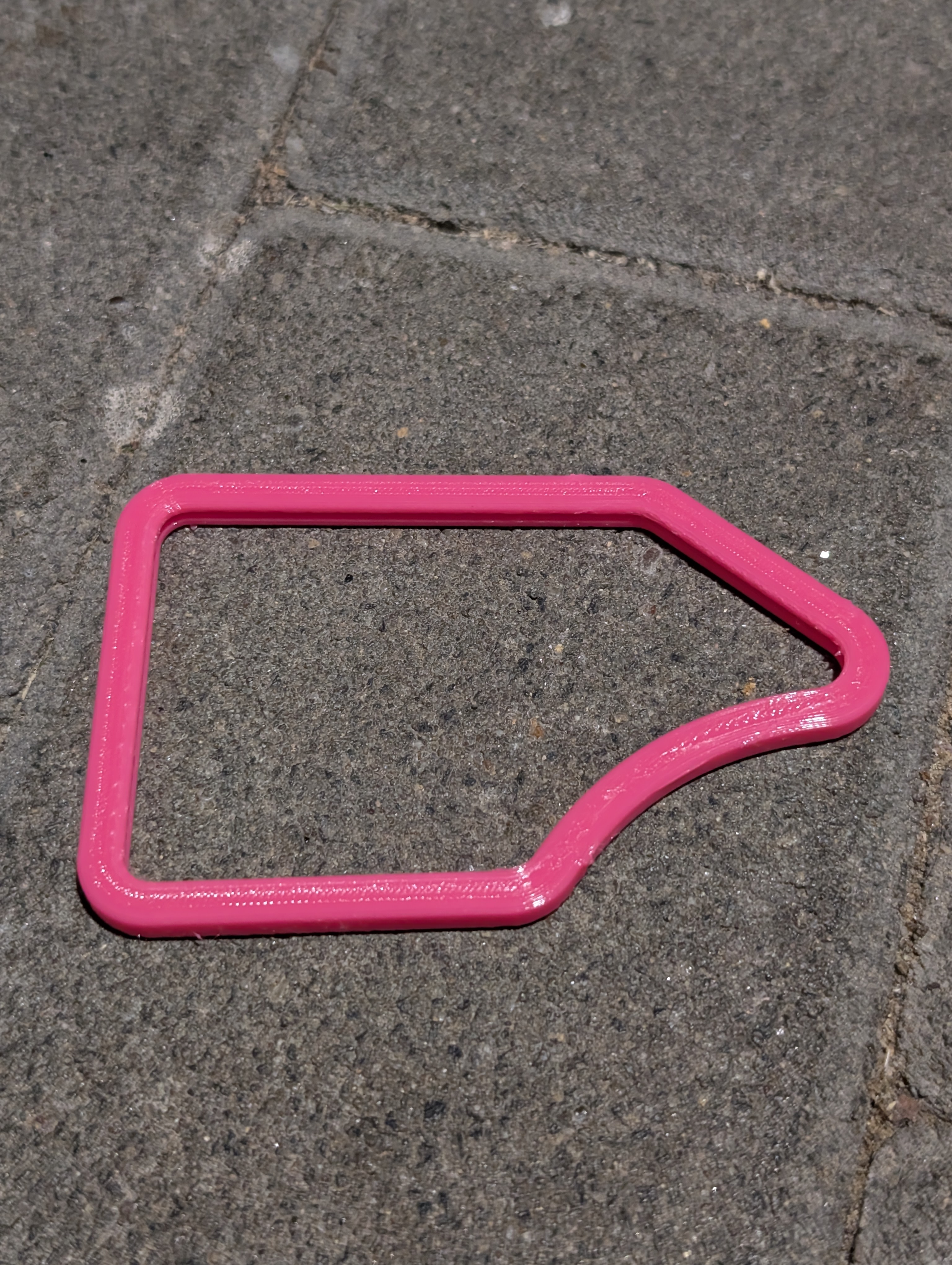 Wing Protector for Team Corally Punisher (MLine)