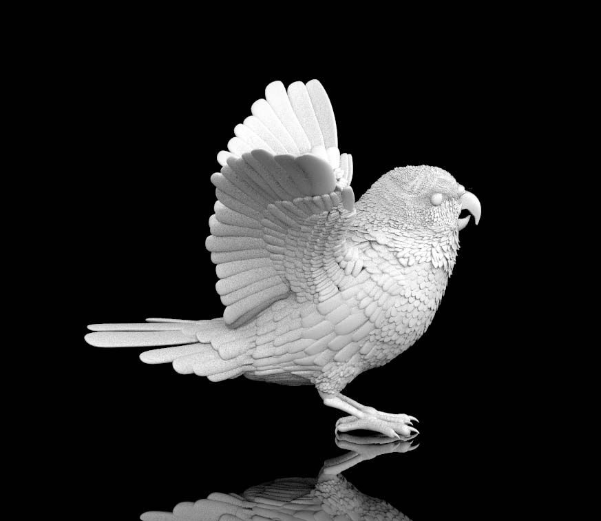 parrot