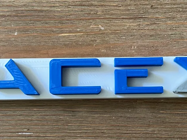 SpaceX Logo Wall Hanging