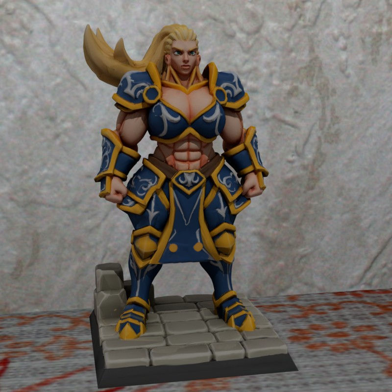TTRPG DND Female Paladin Nosupport FDM Printing Miniatures