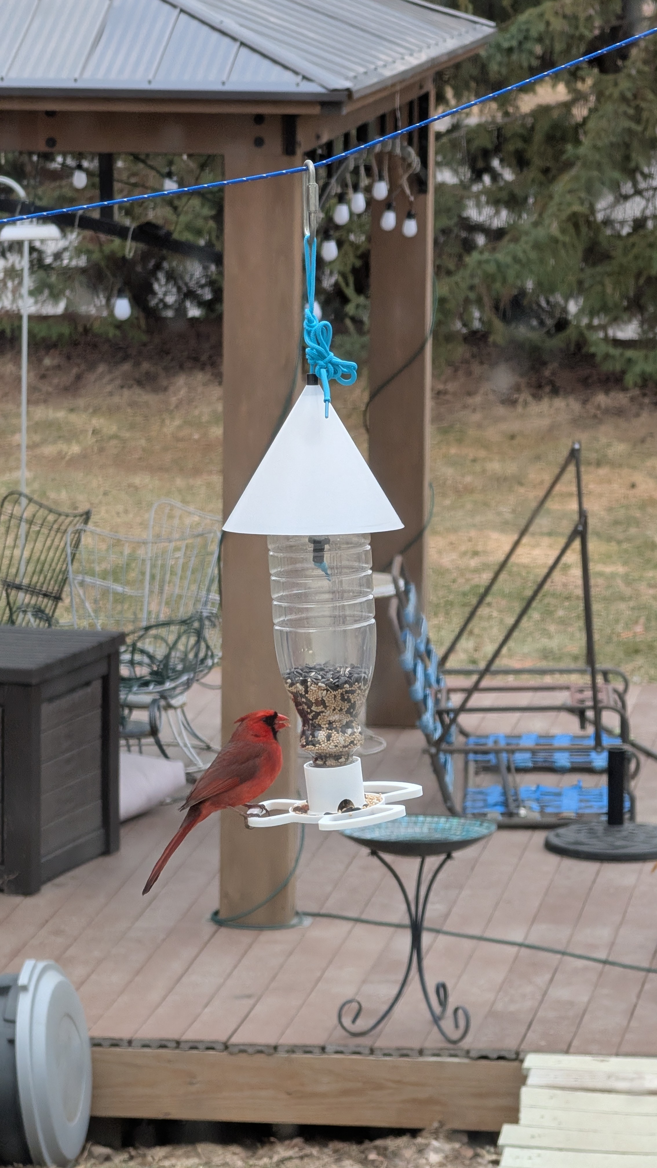 Bird feeder using coffee creamer bottle, squirrel proof 3D model