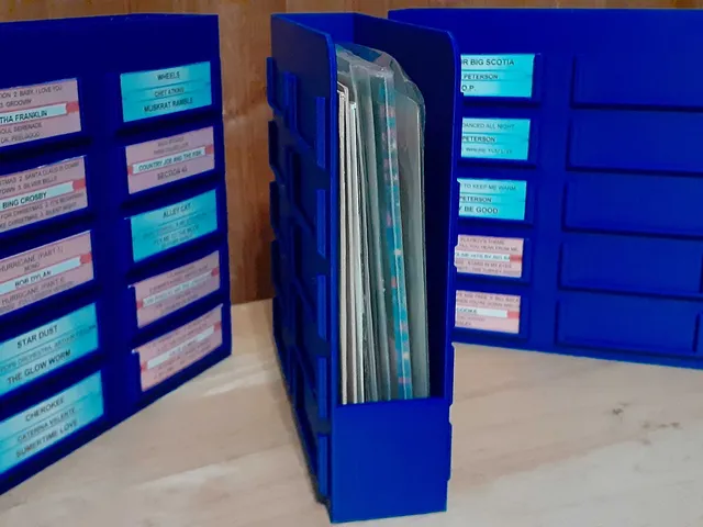 45 RPM Record Case