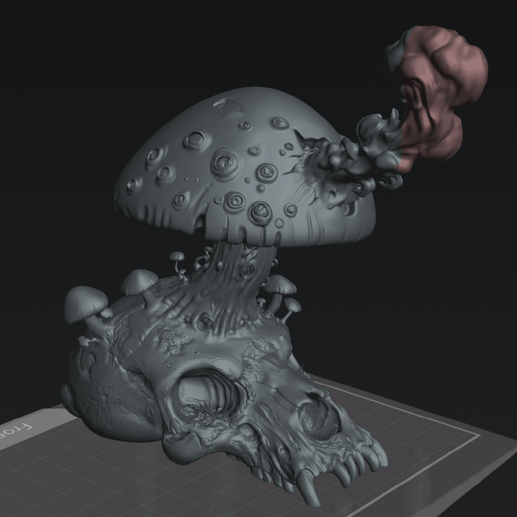 Skull Mushroom Terrain - The Eightpints The Mire