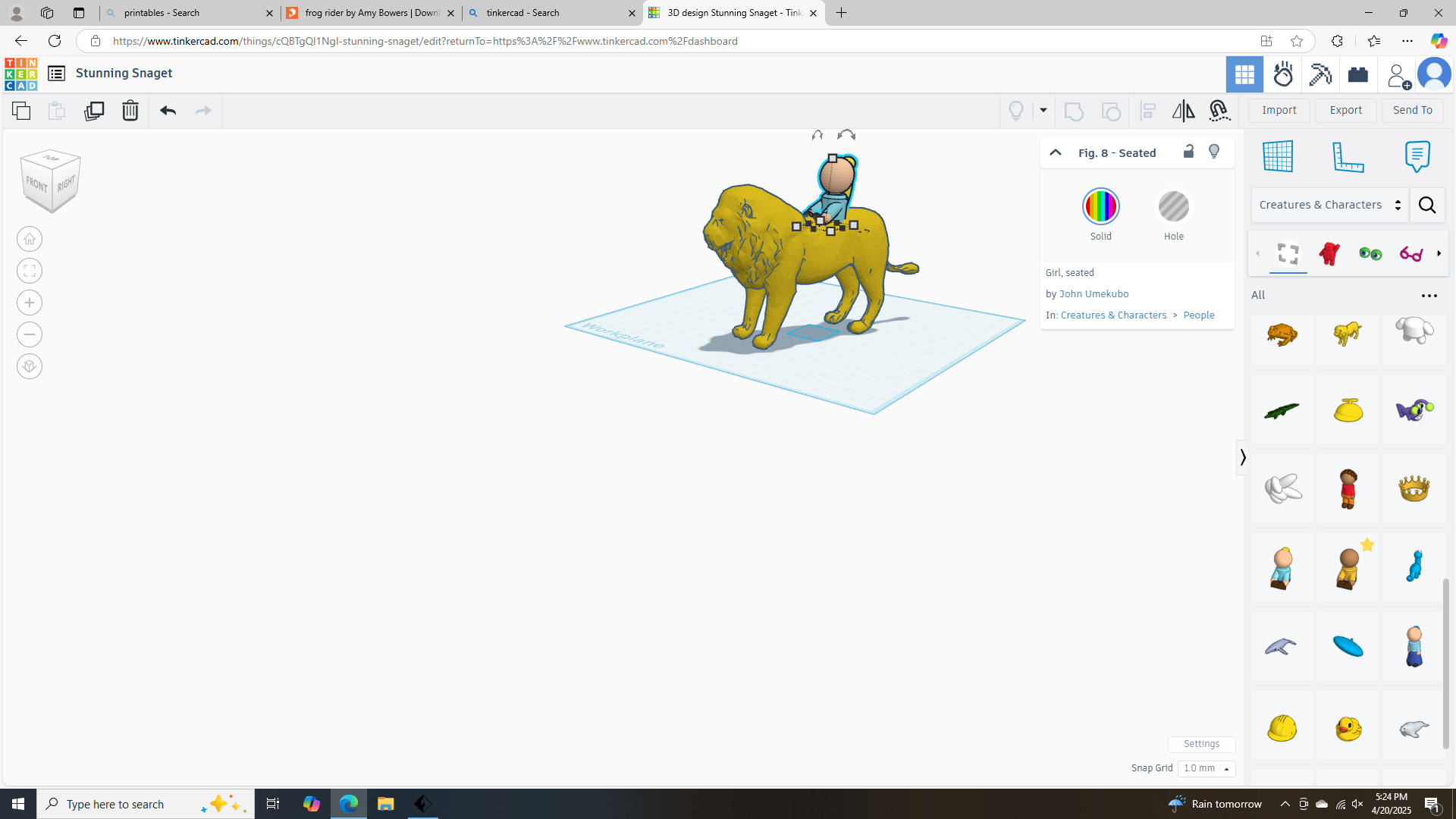 lion rider