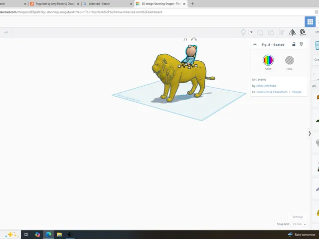 lion rider
