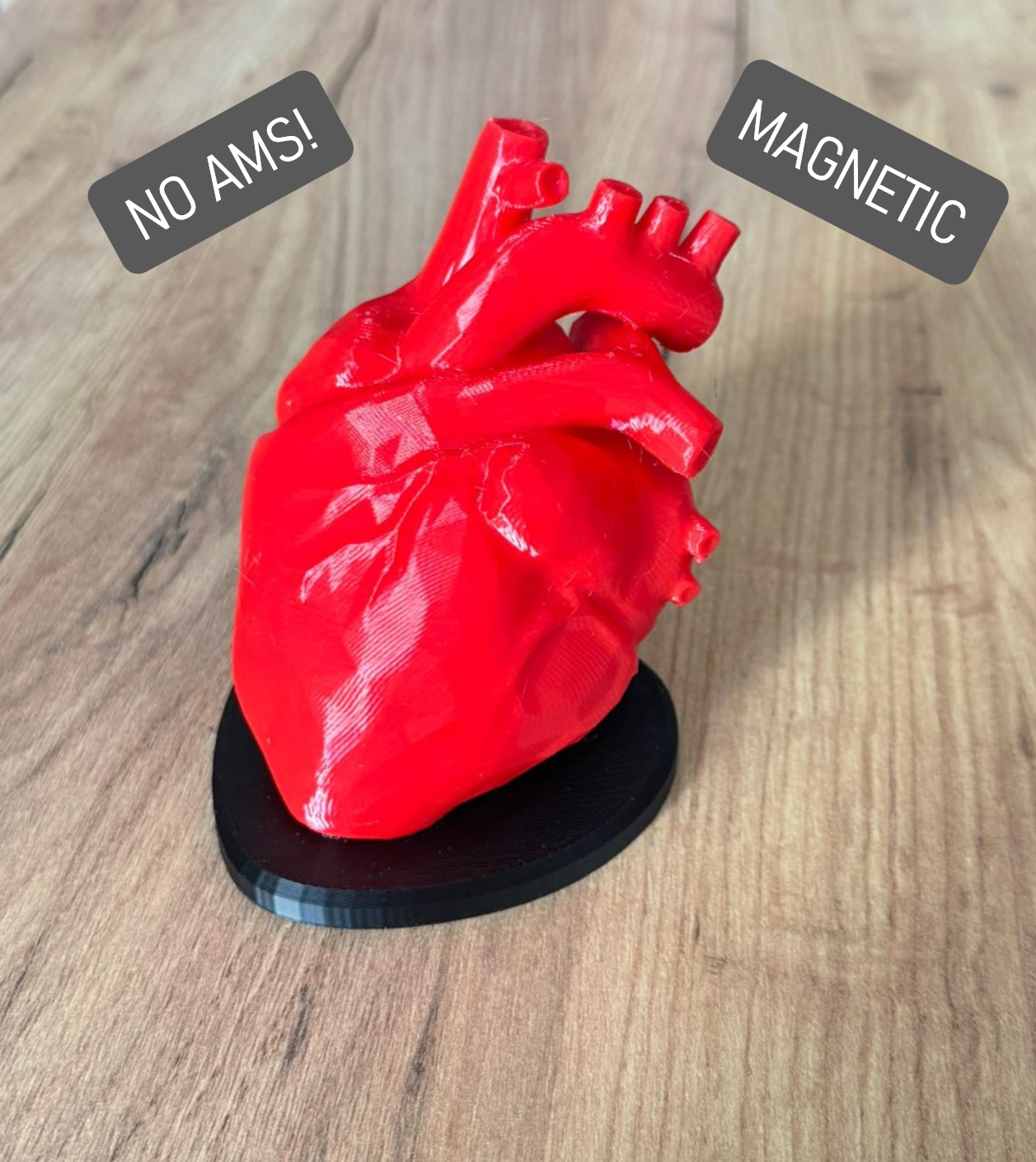 Magnetic Heart Stand – Anatomically Correct – Valentine’s Day Gift