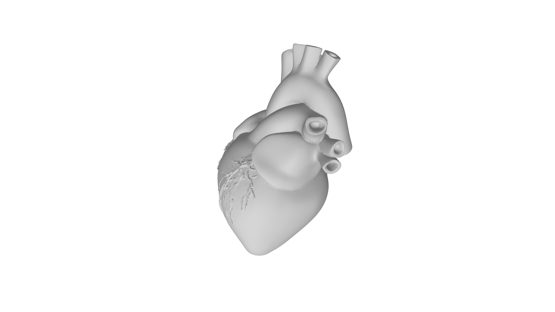 True Love human heart for Valentine's Day