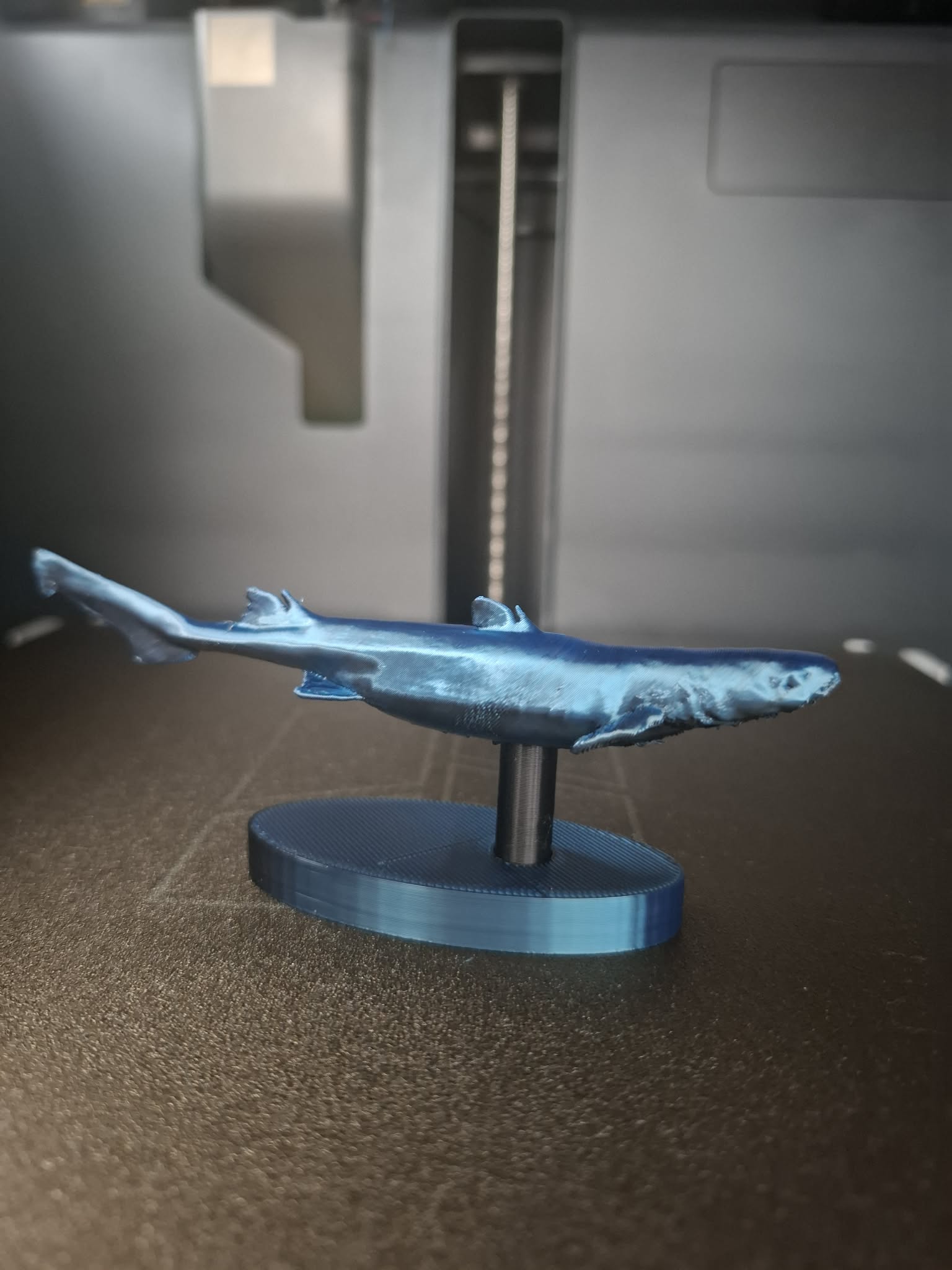 Dwarf Lanternshark – Smallest Shark