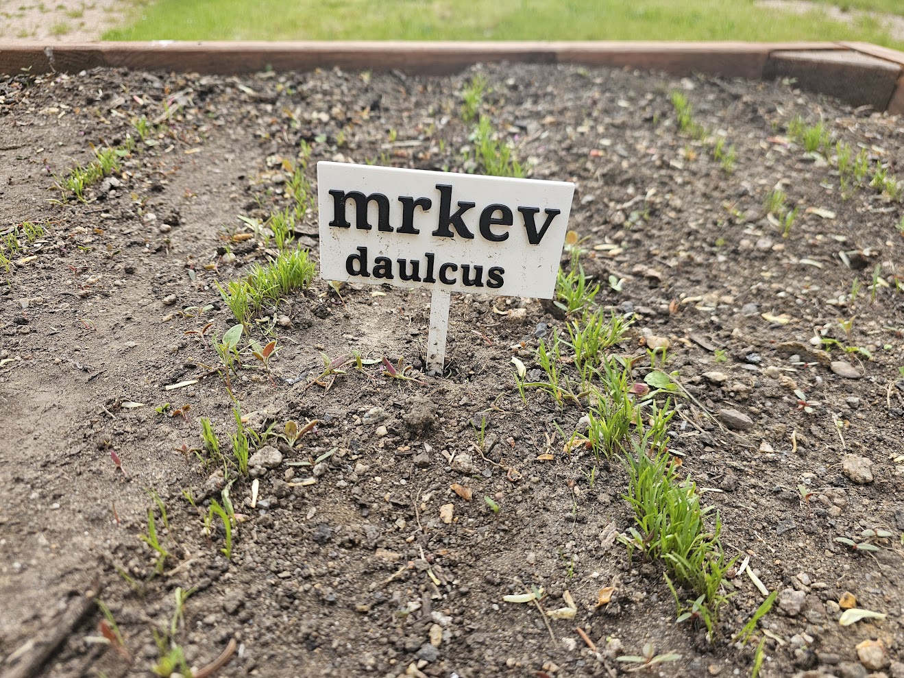 Cedulky na záhonky