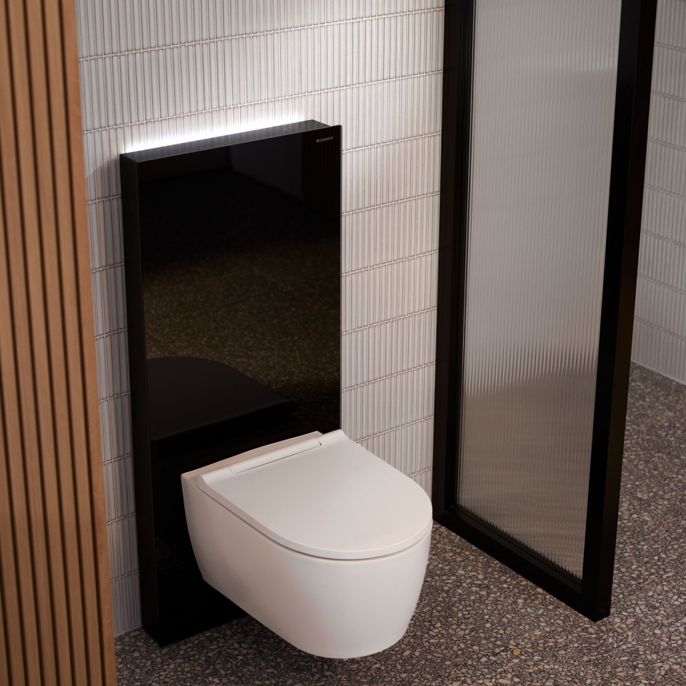 Geberit Monolith WC